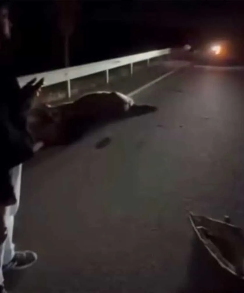 Ata Carpan Otomobil Surucusu Oldu 1