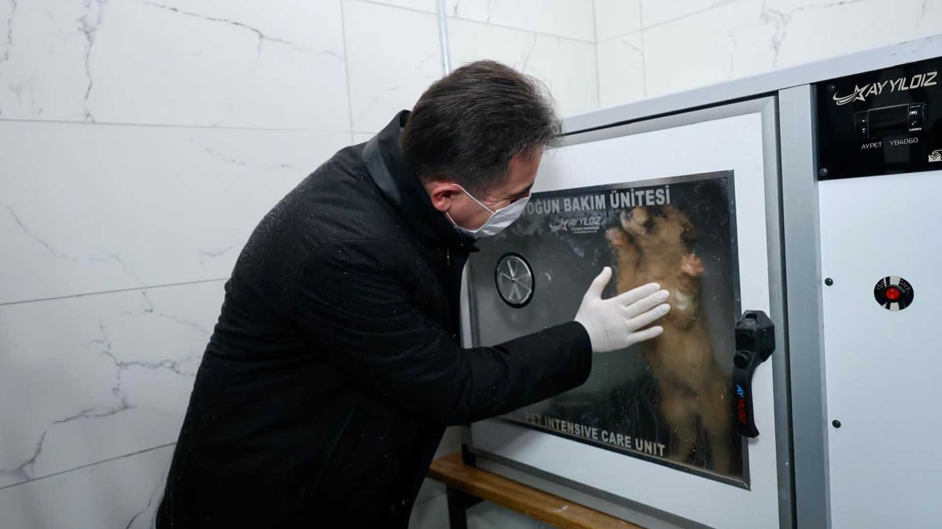 Bitlis Valisi Karakaya Sokak Hayvanları Bakımevini İnceledi 5