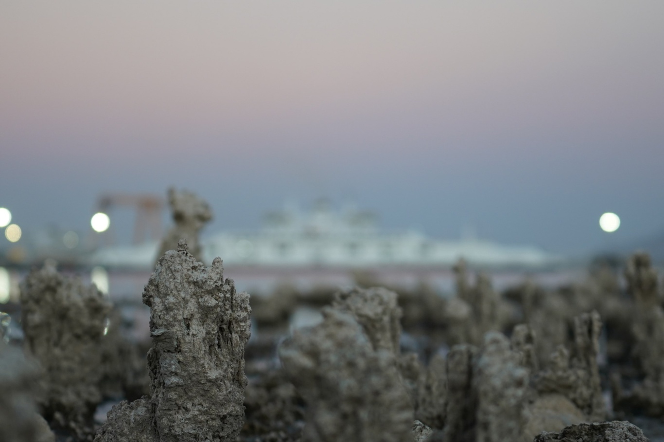 D52E87B0 7961 41Db 9906 55F1Cfb90436