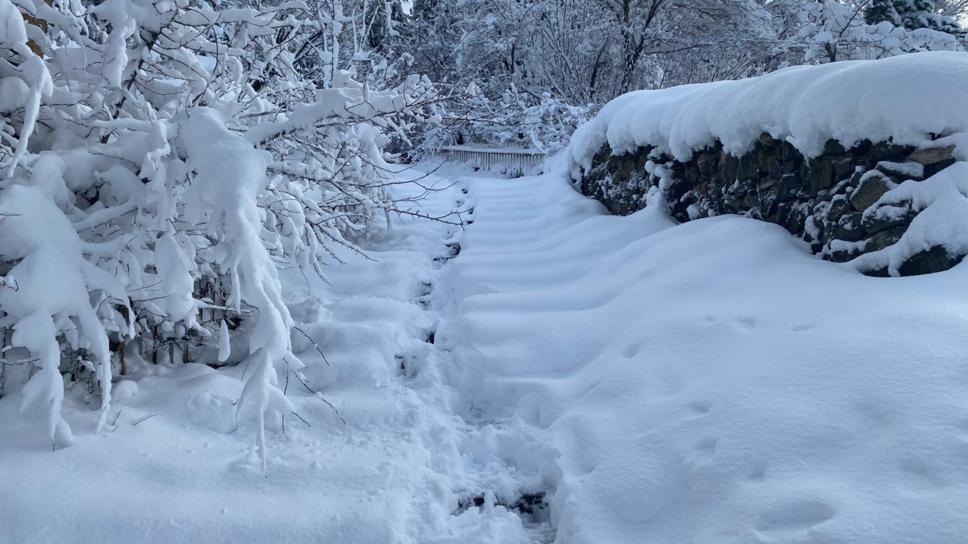 Haber Kapak Şablon (10)-61