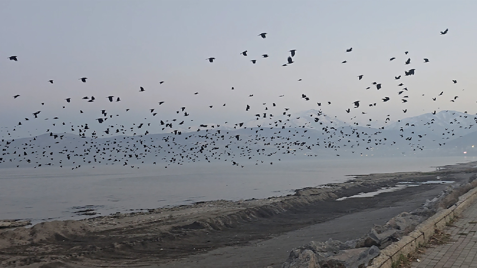 Haber Kapak Şablon (46)-23