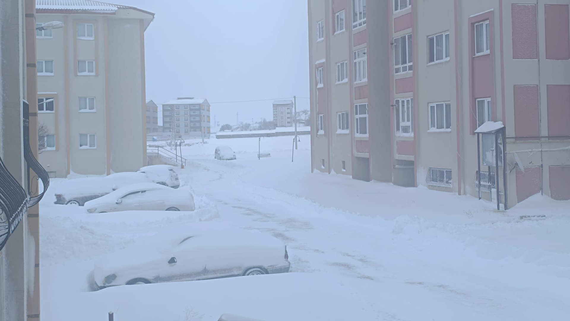 Haber Kapak Şablon (6)-67