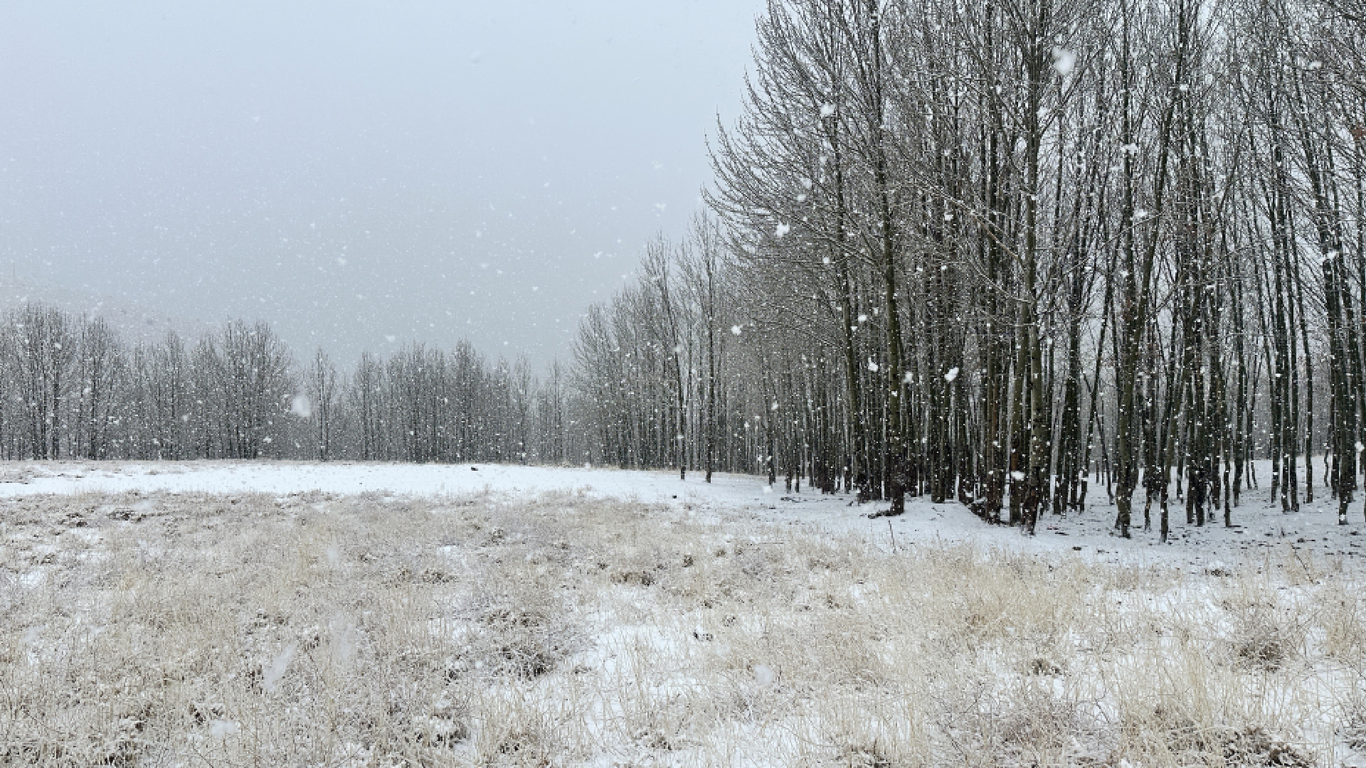 Haber Kapak Şablon (7)-60