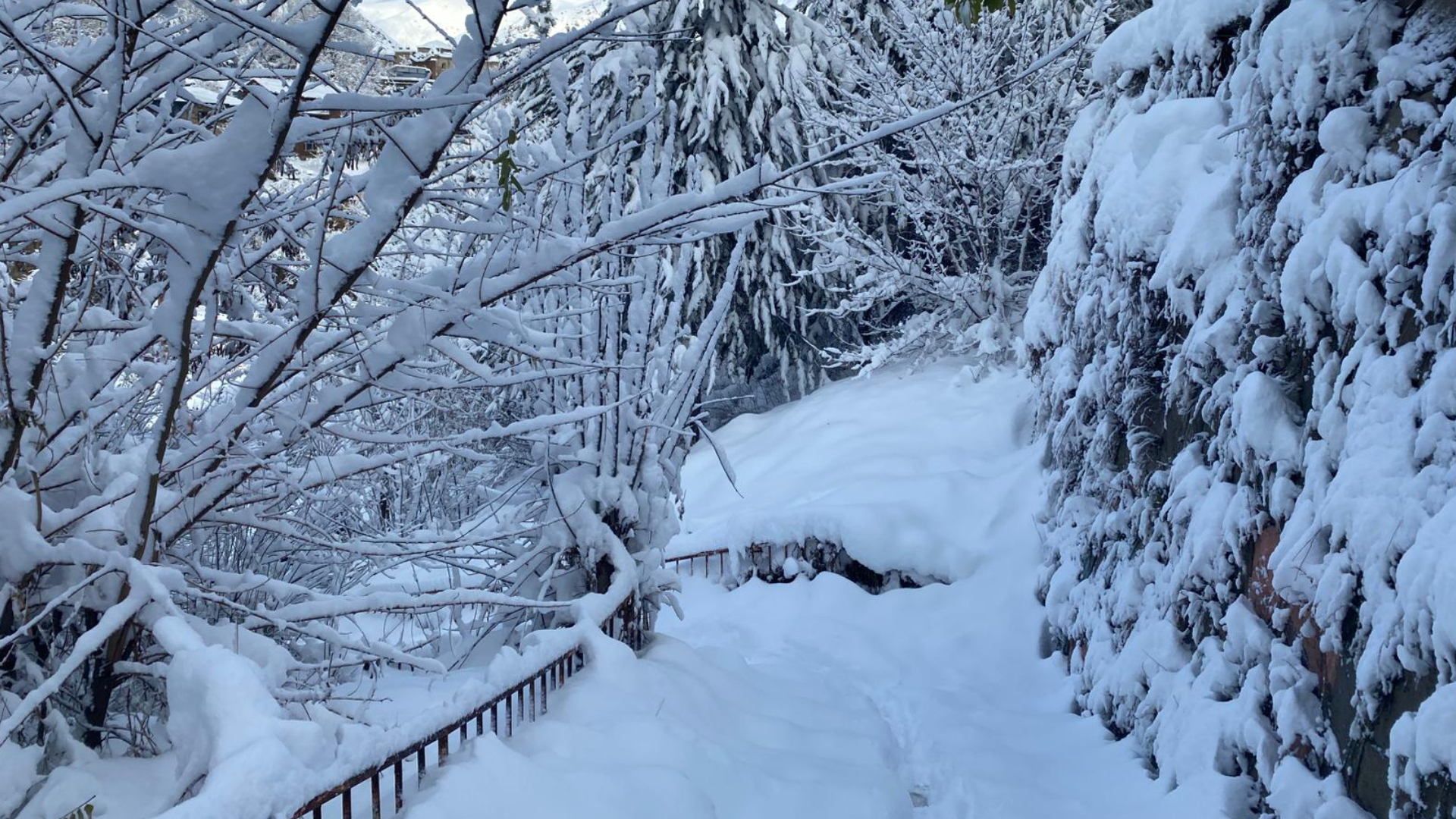 Haber Kapak Şablon (8)-60