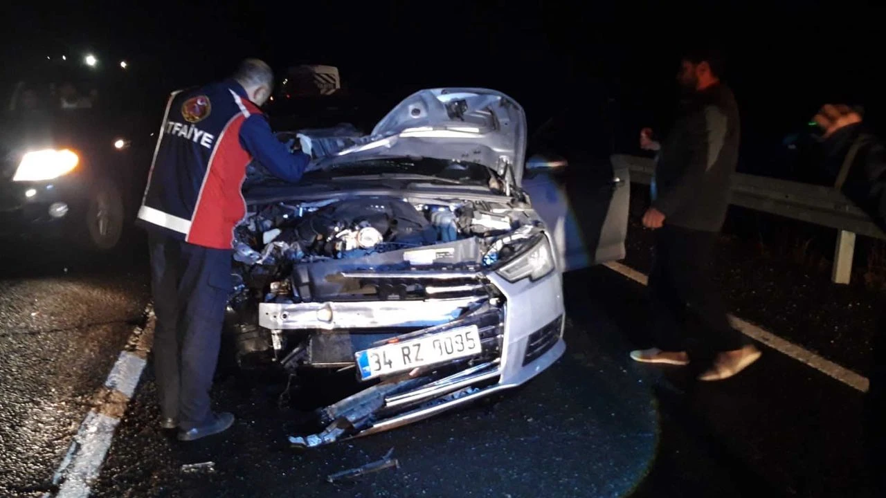 Otomobilin Carptigi At Telef Oldu