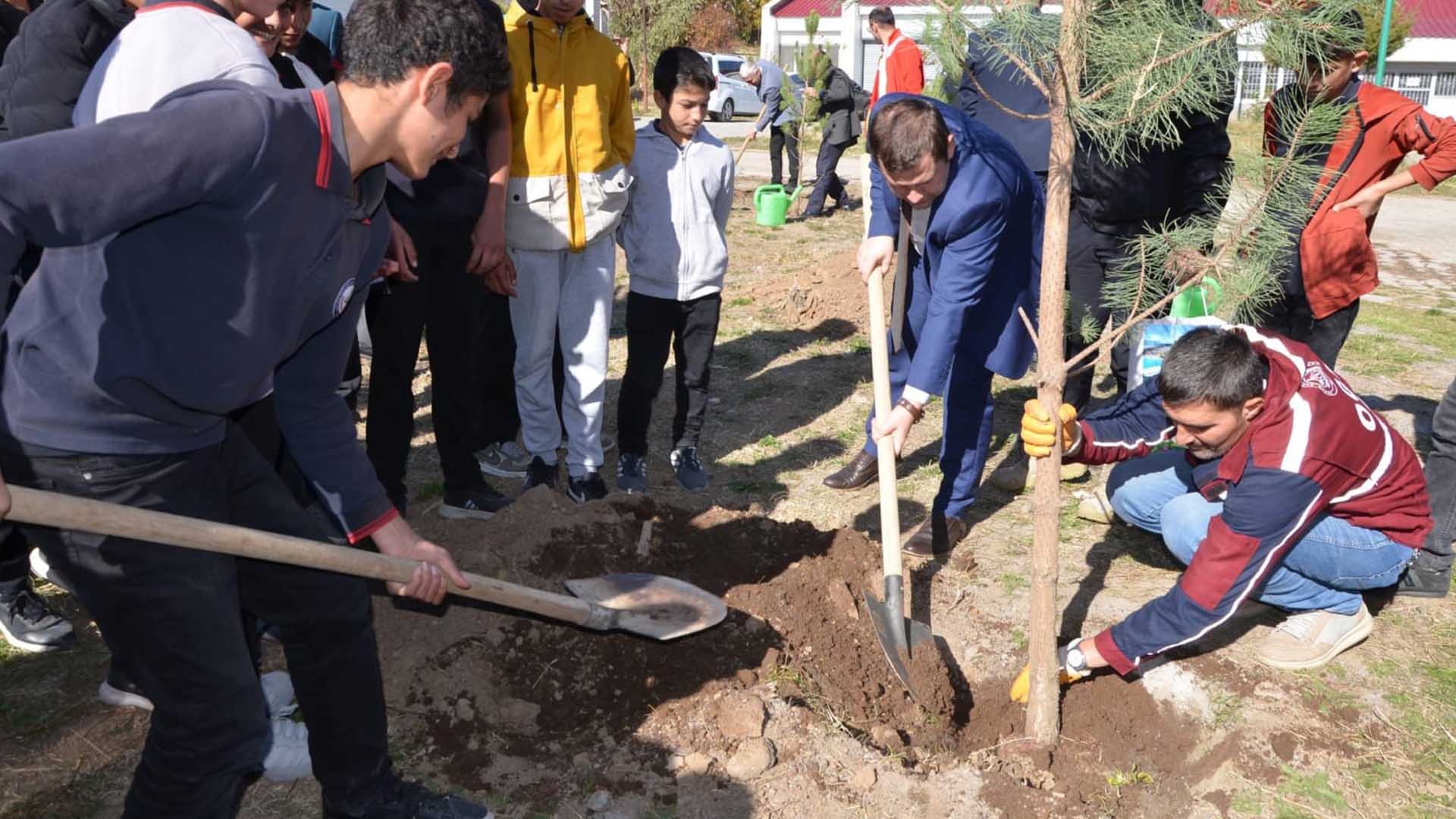 Tatvan’daki Okullar “Yeşil Vatan” Projesiyle Fidanlarla Buluşuyor 1