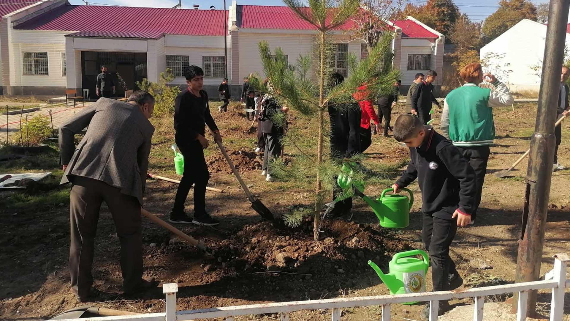 Tatvan’daki Okullar “Yeşil Vatan” Projesiyle Fidanlarla Buluşuyor