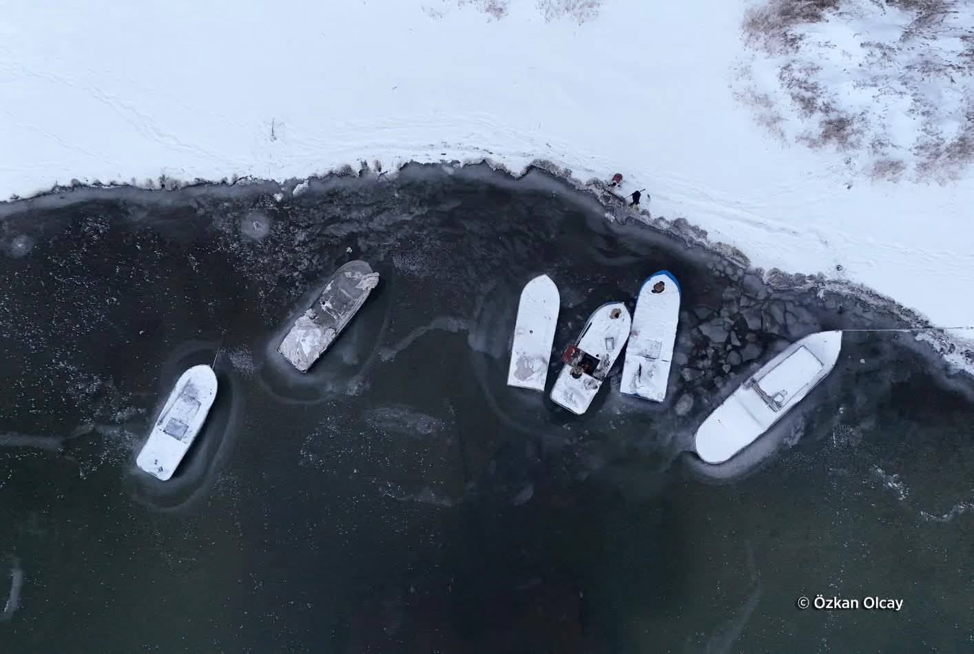 618652803 1333930282113926 7584545356695785645 N