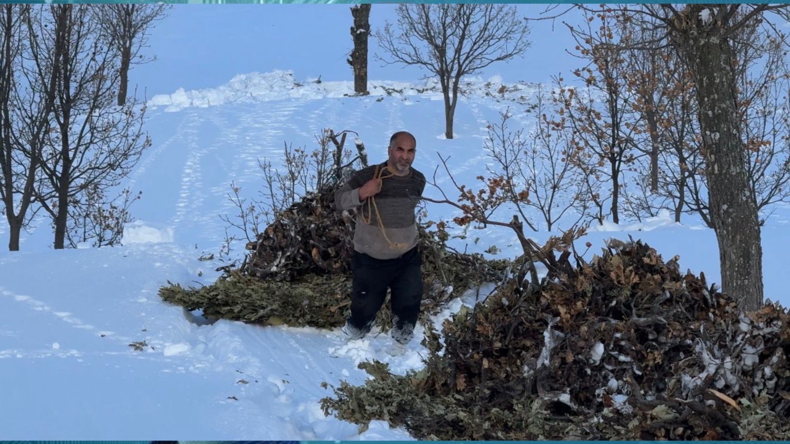 6D5841Dc 8Cf4 47C3 B909 6859Afd54252