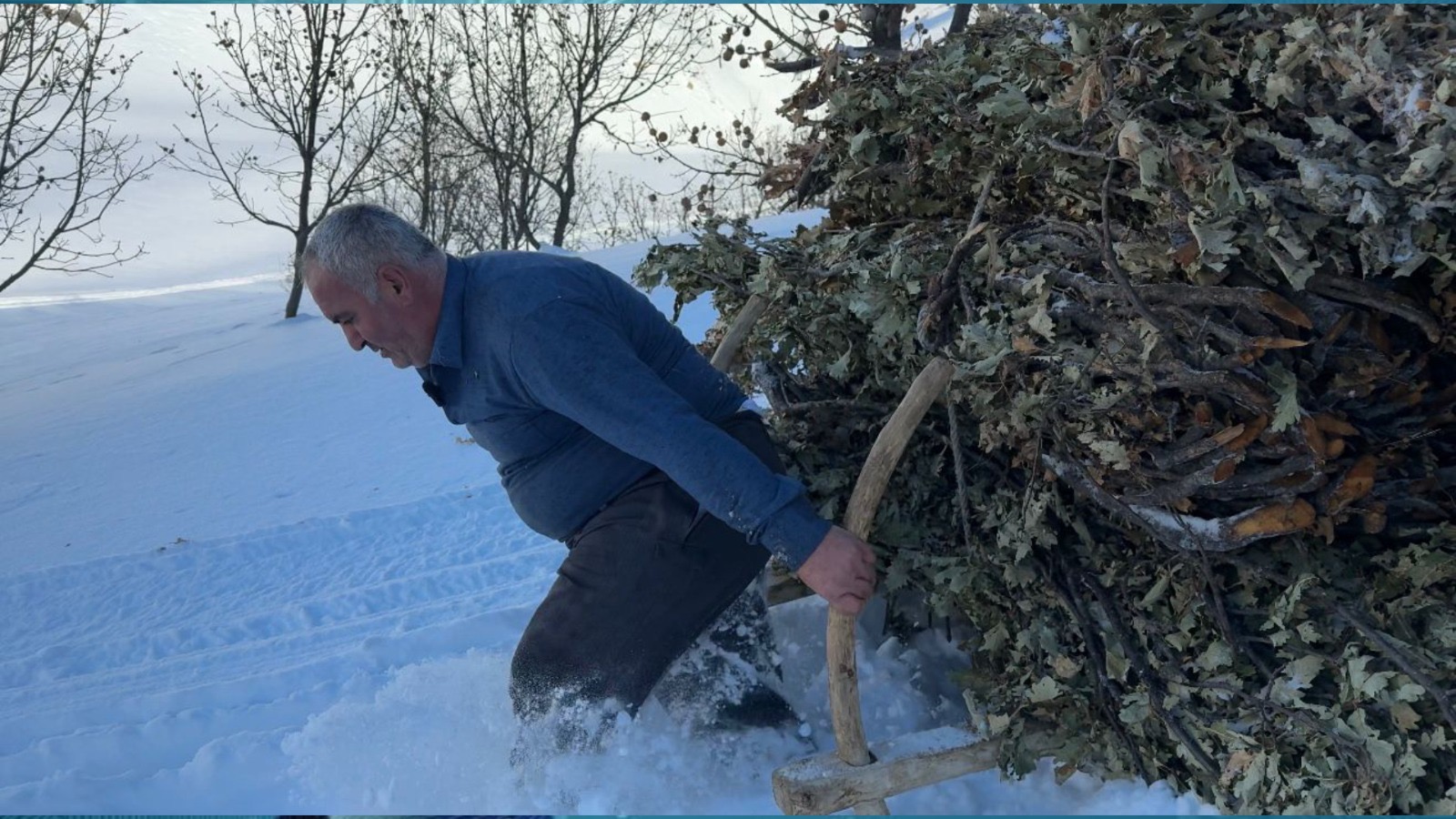 A4Cd63Af 8Eae 472B A5D8 Abd874E6207C