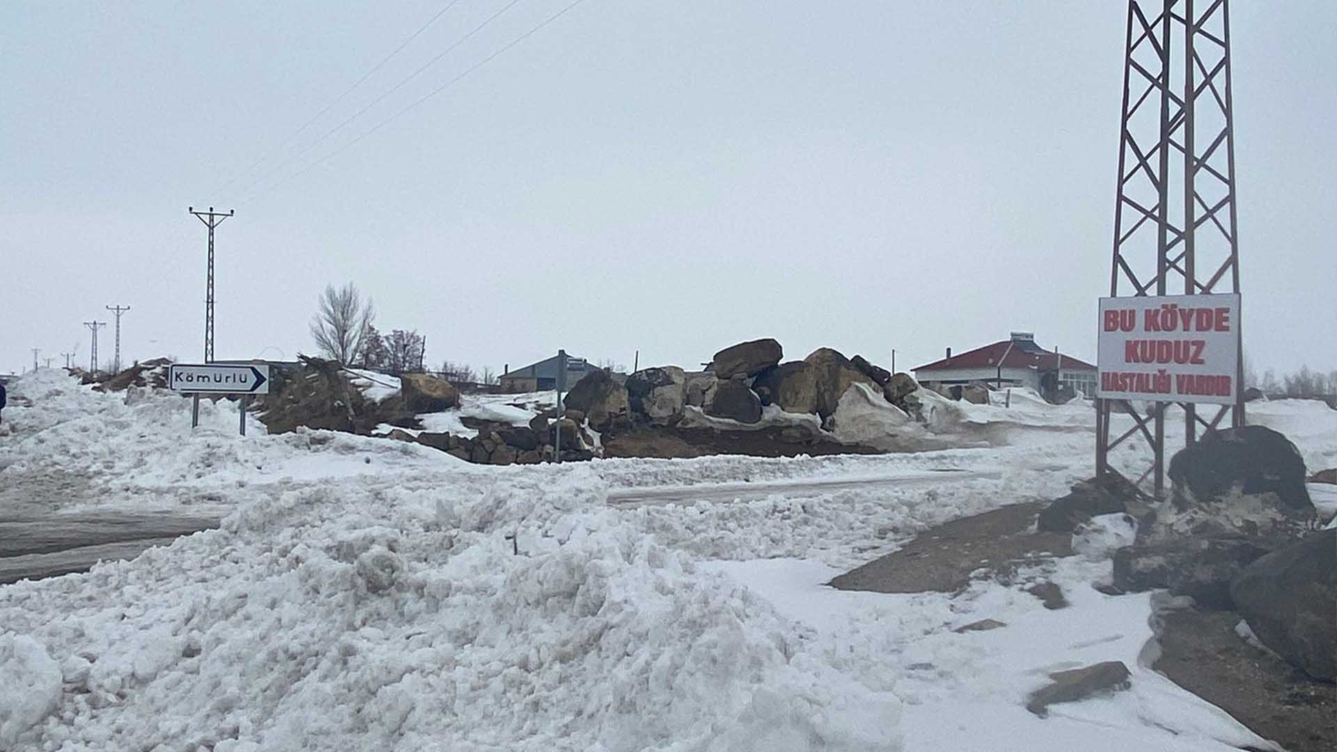 Adilcevaz'ın Kömürlü Köyünde Kuduz Alarmı 1