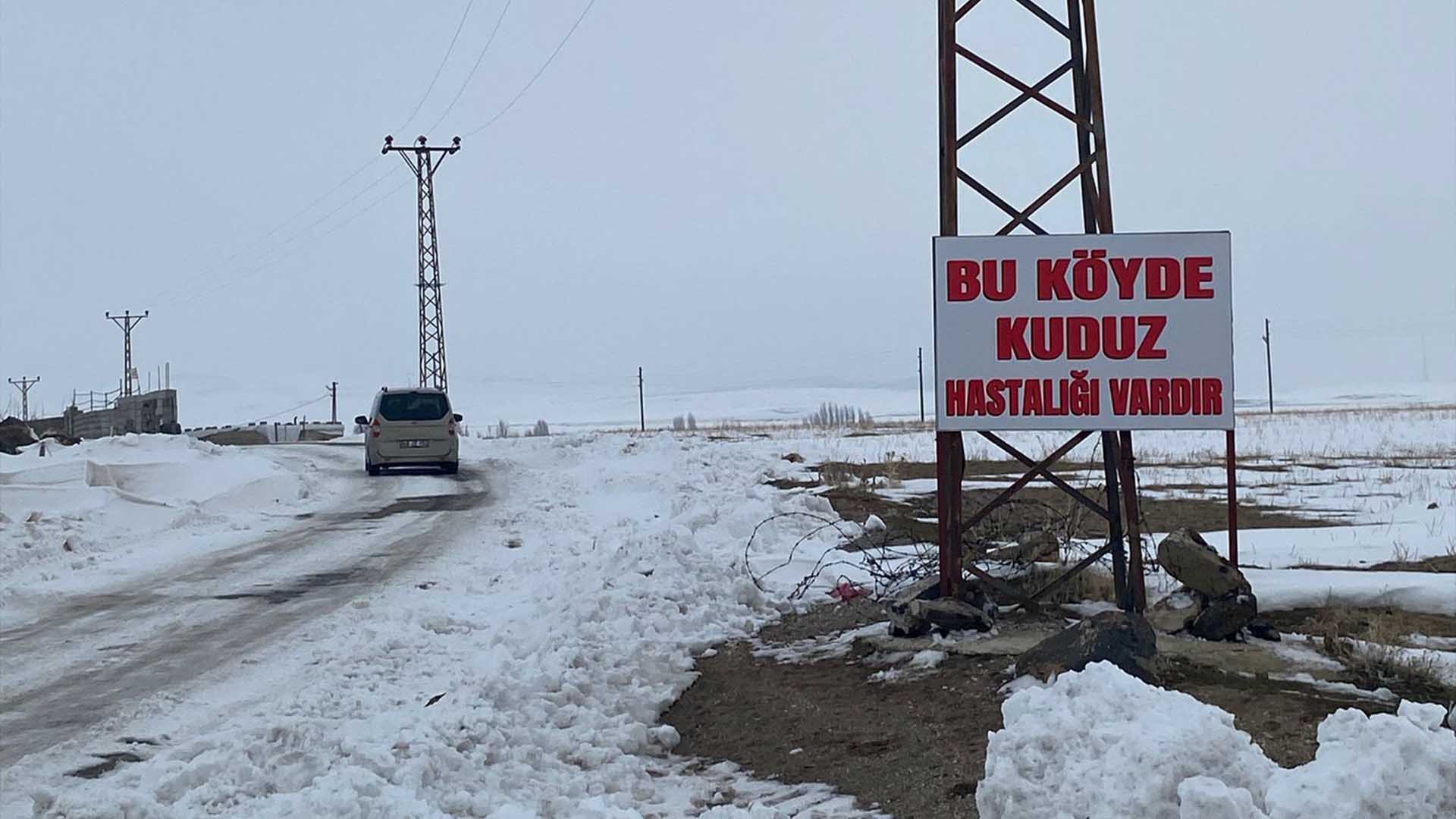 Adilcevaz'ın Kömürlü Köyünde Kuduz Alarmı 2