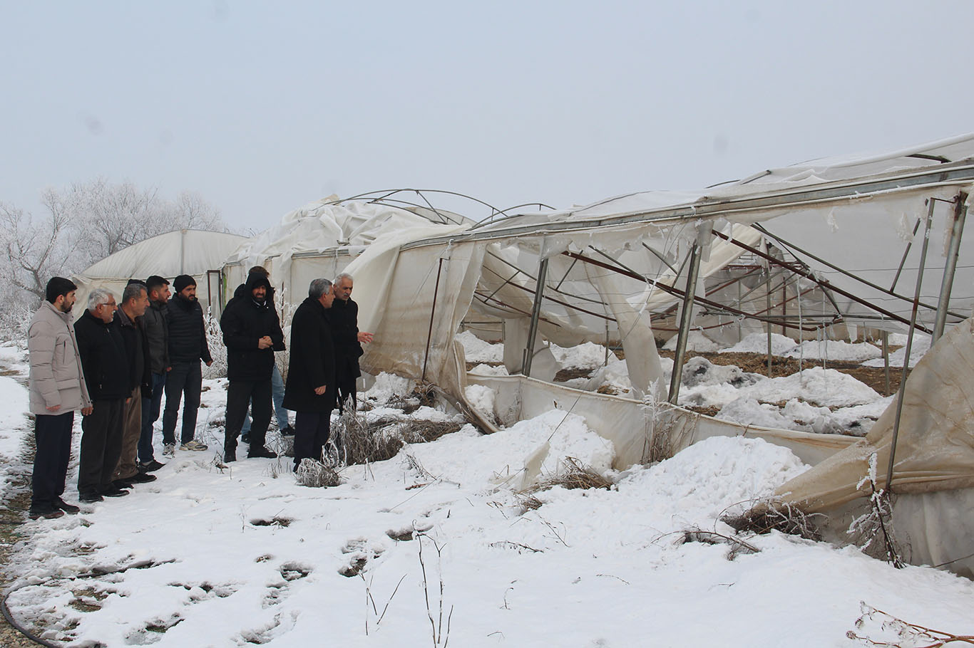 Bf447397 6167 4C6A B2A8 00B725Ee00E3