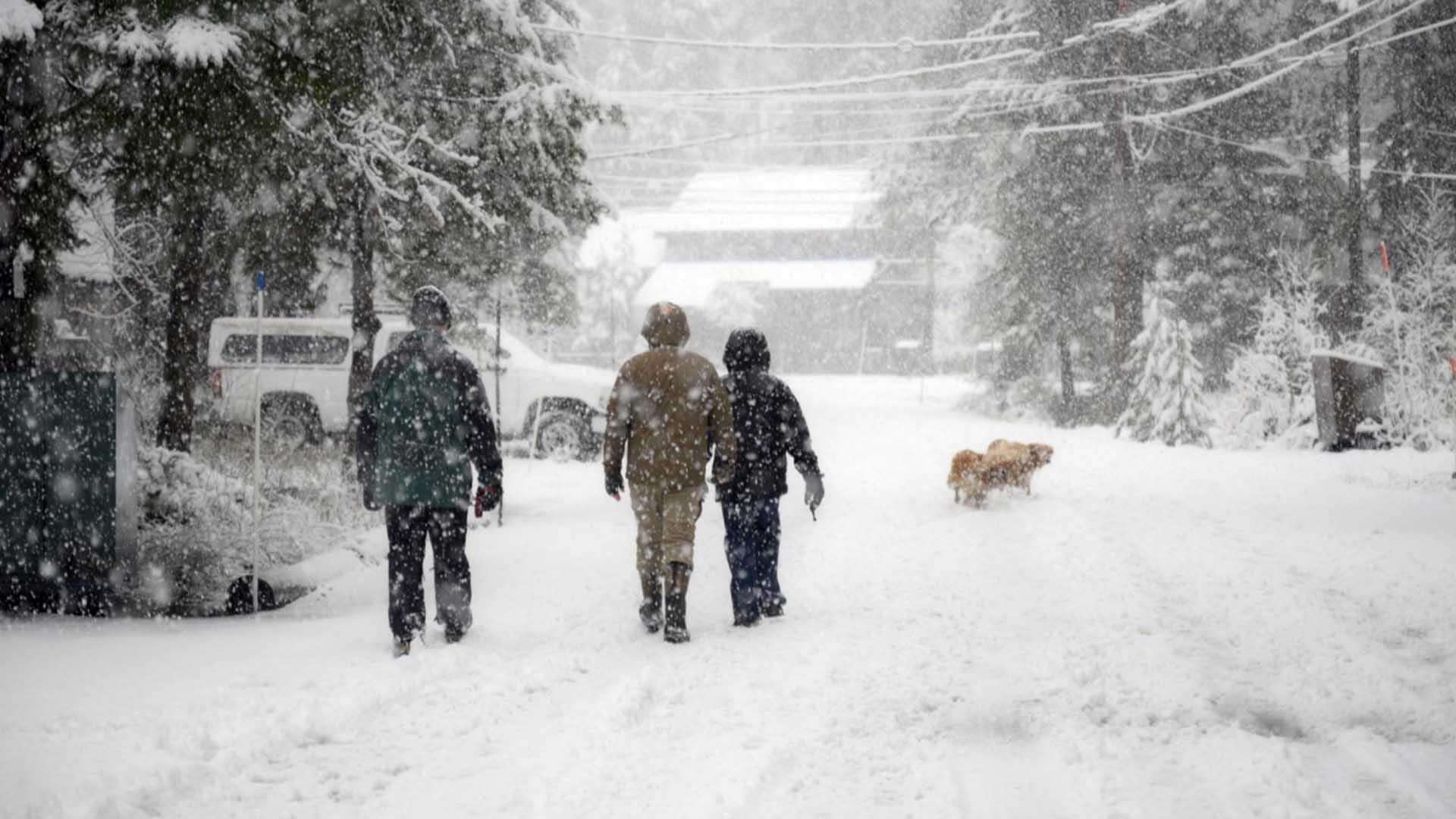 Bitlis’te 5 Günlük Hava Durumu Nasıl Olacak 3