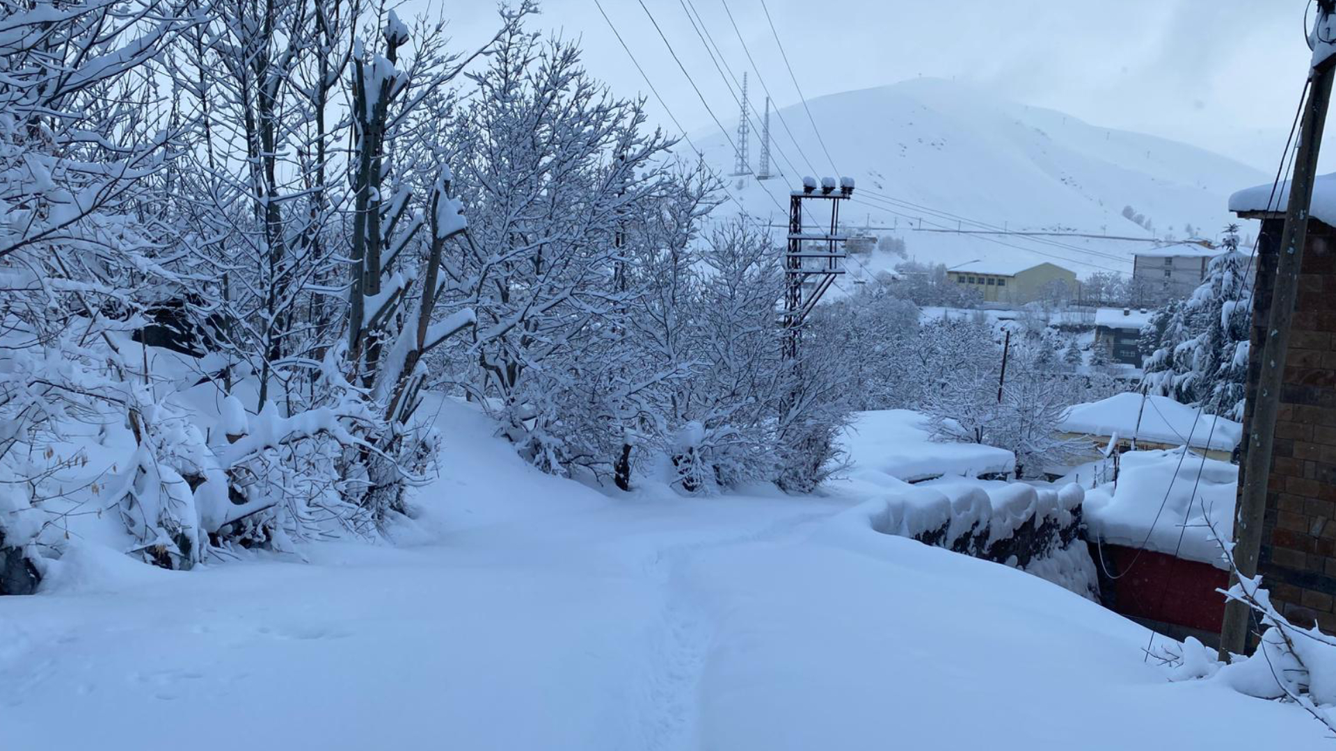 Haber Kapak Şablon (21)-46