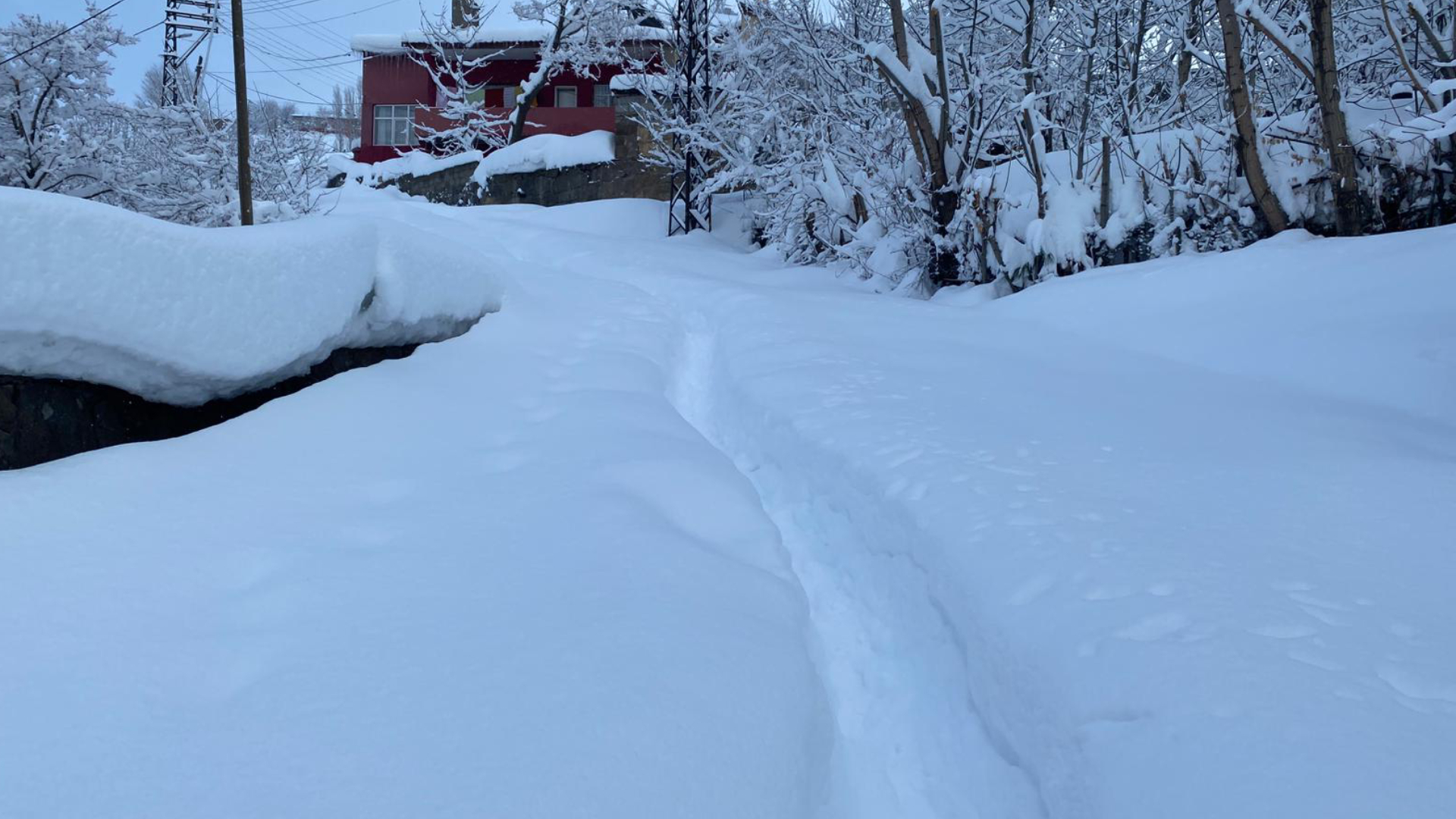 Haber Kapak Şablon (22)-46