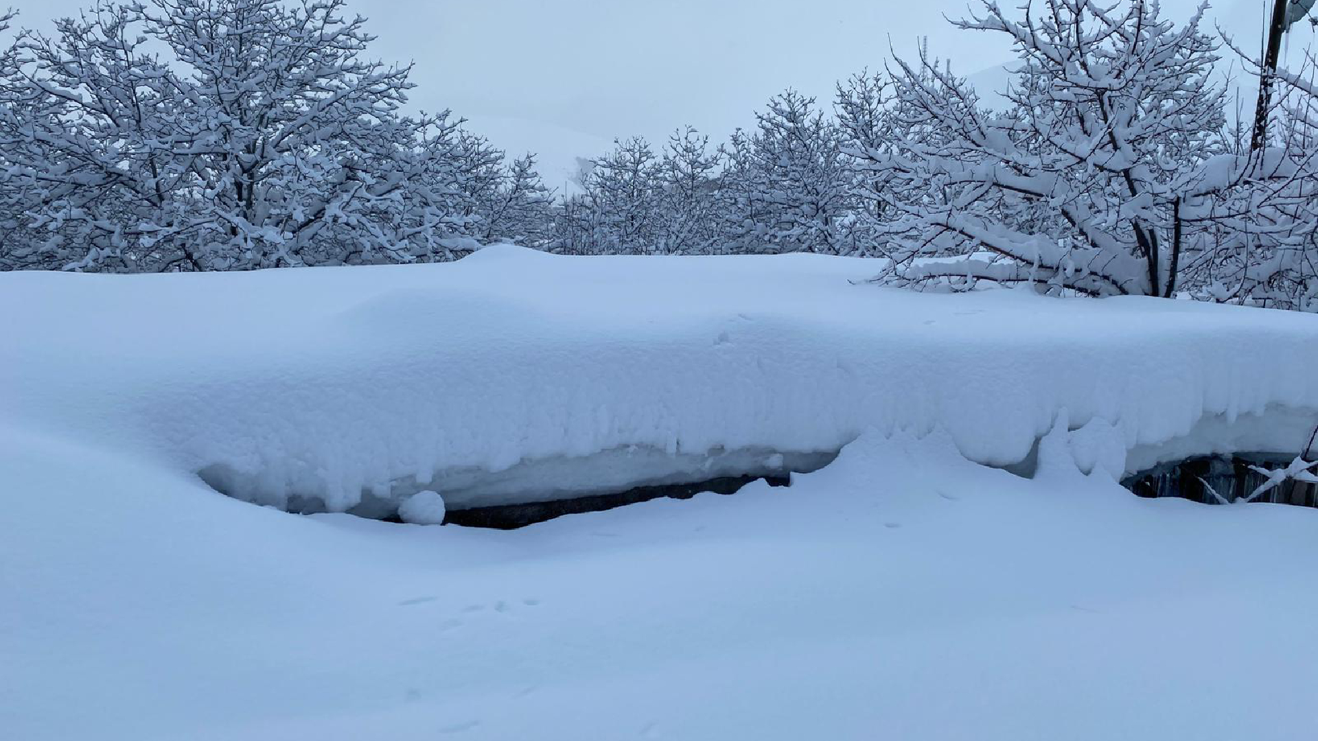 Haber Kapak Şablon (24)-42