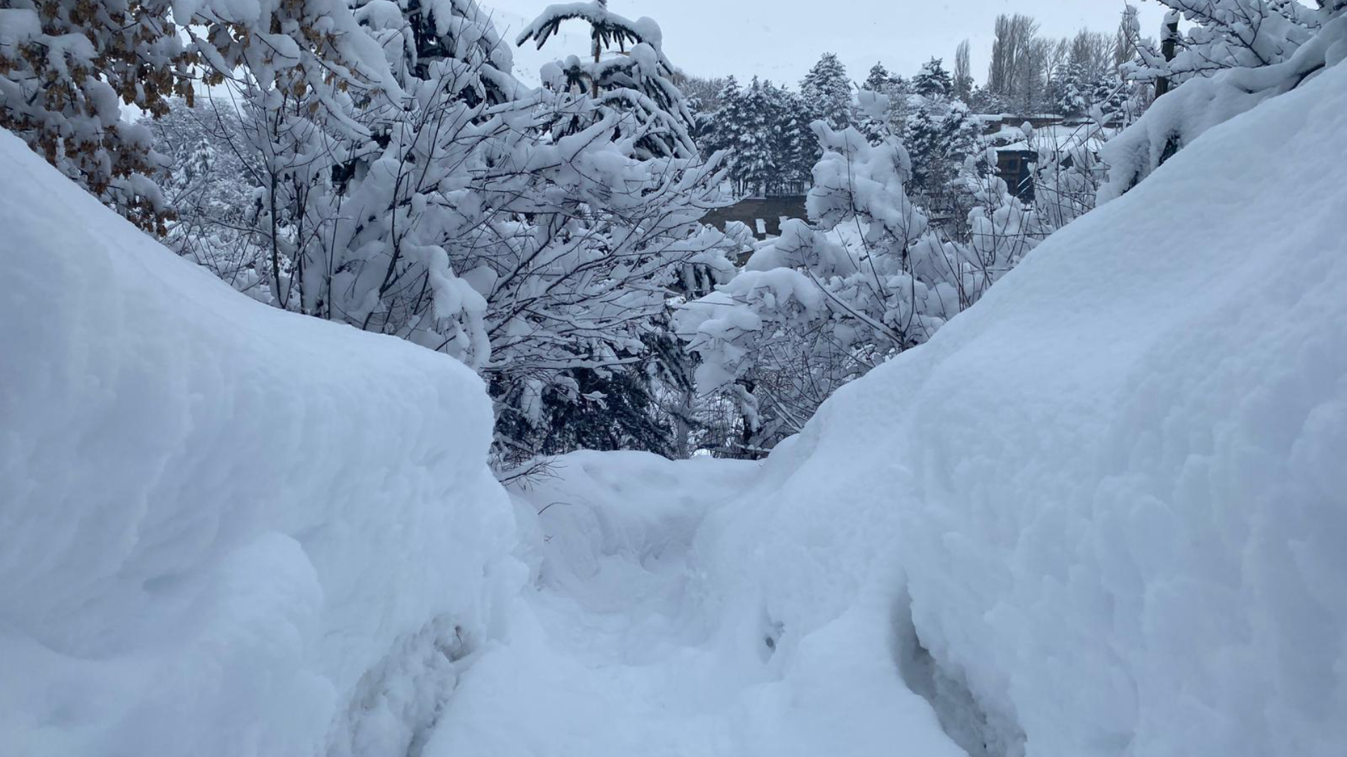 Haber Kapak Şablon (3)-75