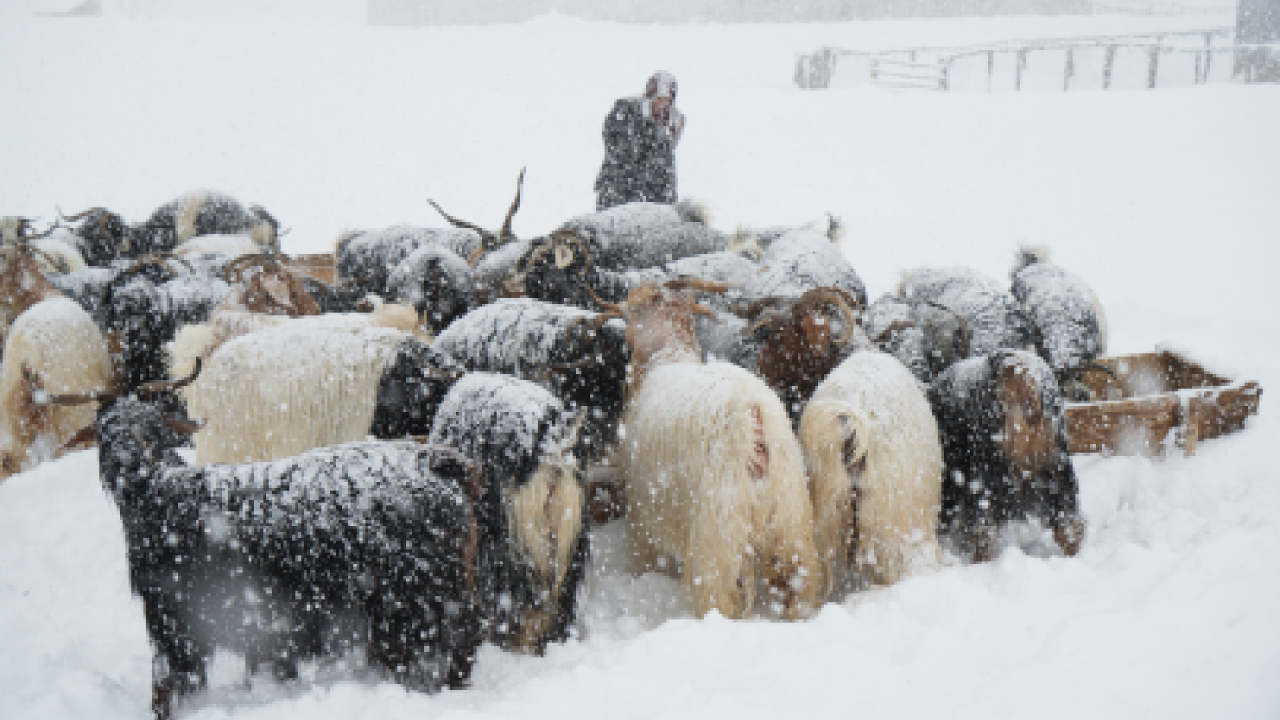 Haber Kapak Şablon (34)-31