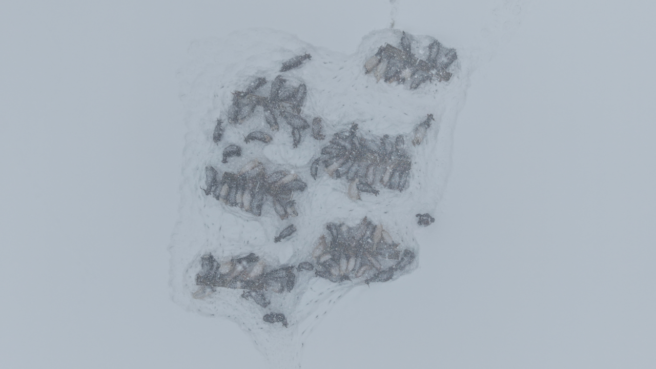 Haber Kapak Şablon (36)-29