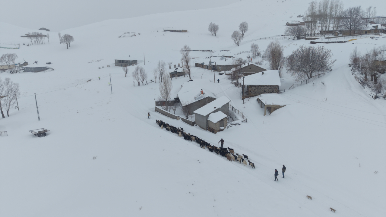 Haber Kapak Şablon (37)-30