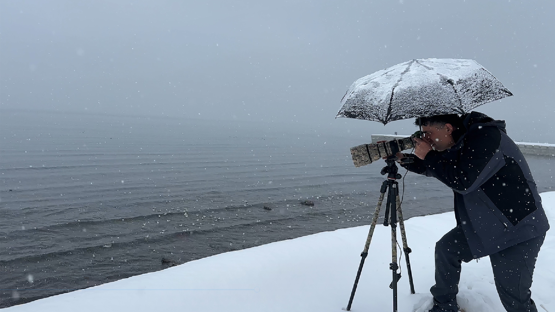 Haber Kapak Şablon (72)-14