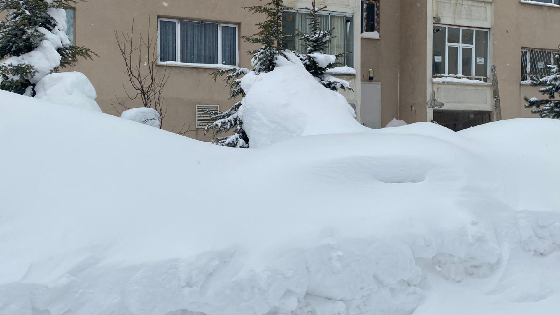 Haber Kapak Şablon (89)-8