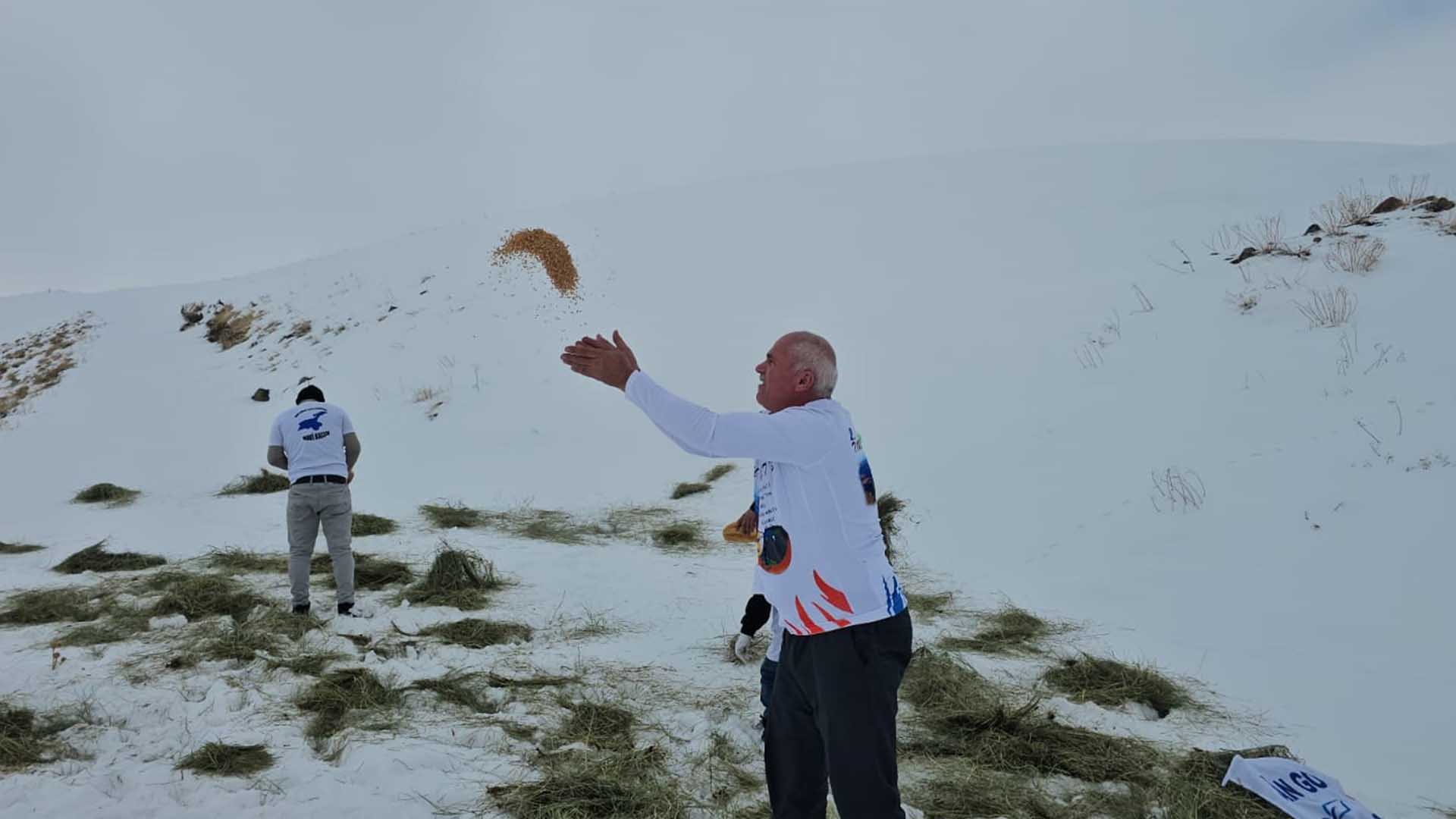 Süphan Dağı Eteklerine Yem Bırakıldı 3