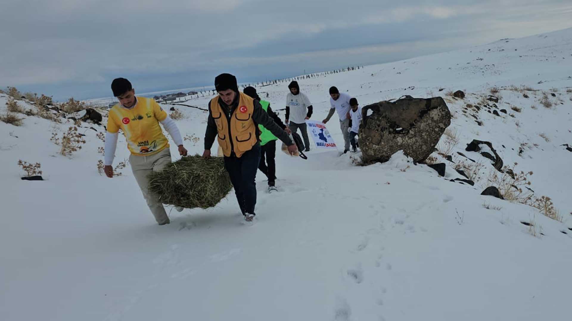 Süphan Dağı Eteklerine Yem Bırakıldı