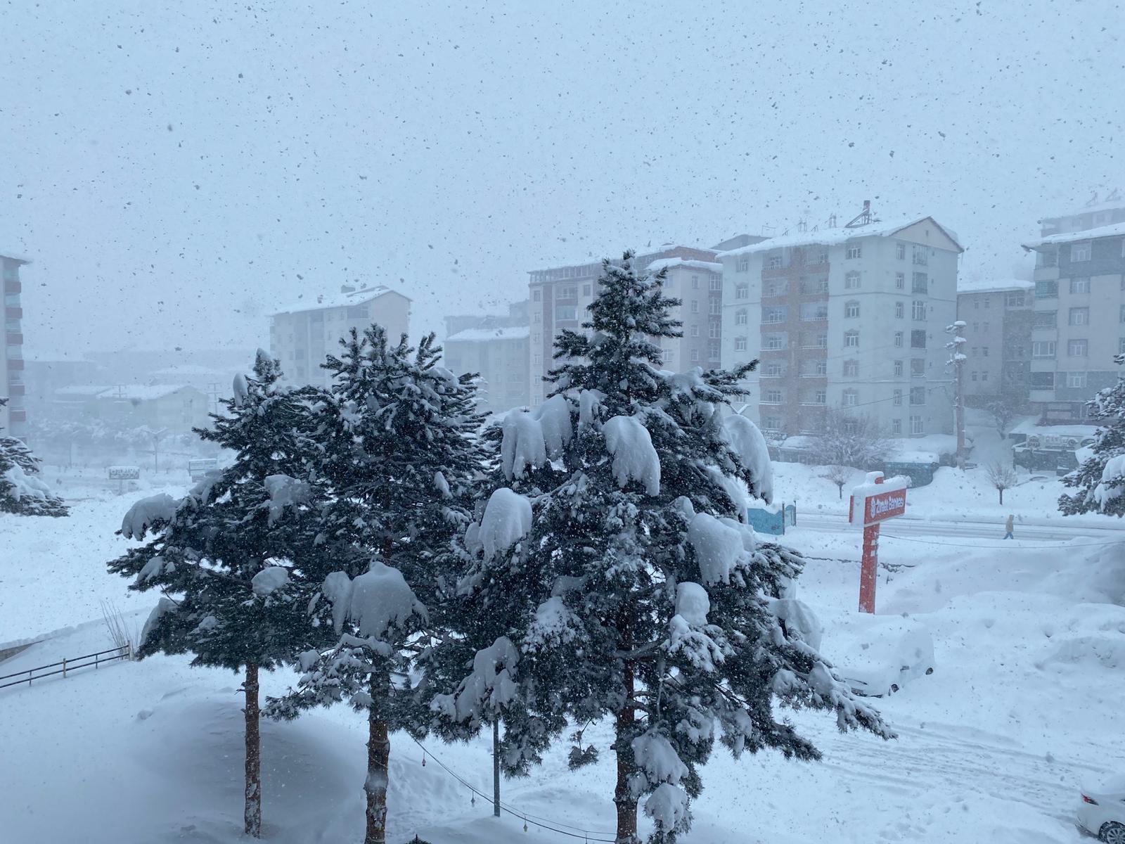 Whatsapp Image 2026 01 19 At 10.20.55