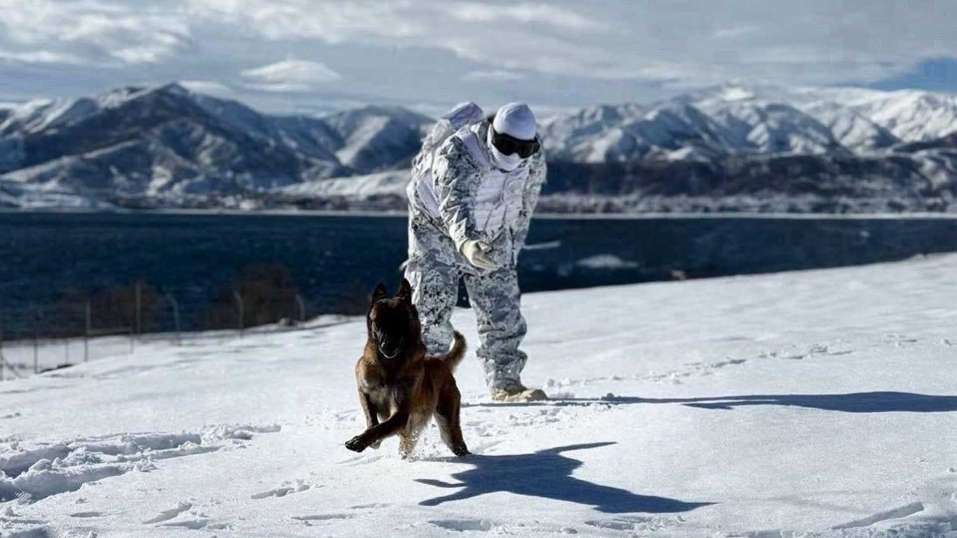 Bitlis'te Askerî Köpekler Zorlu Kış Şartlarında Eğitildi 1