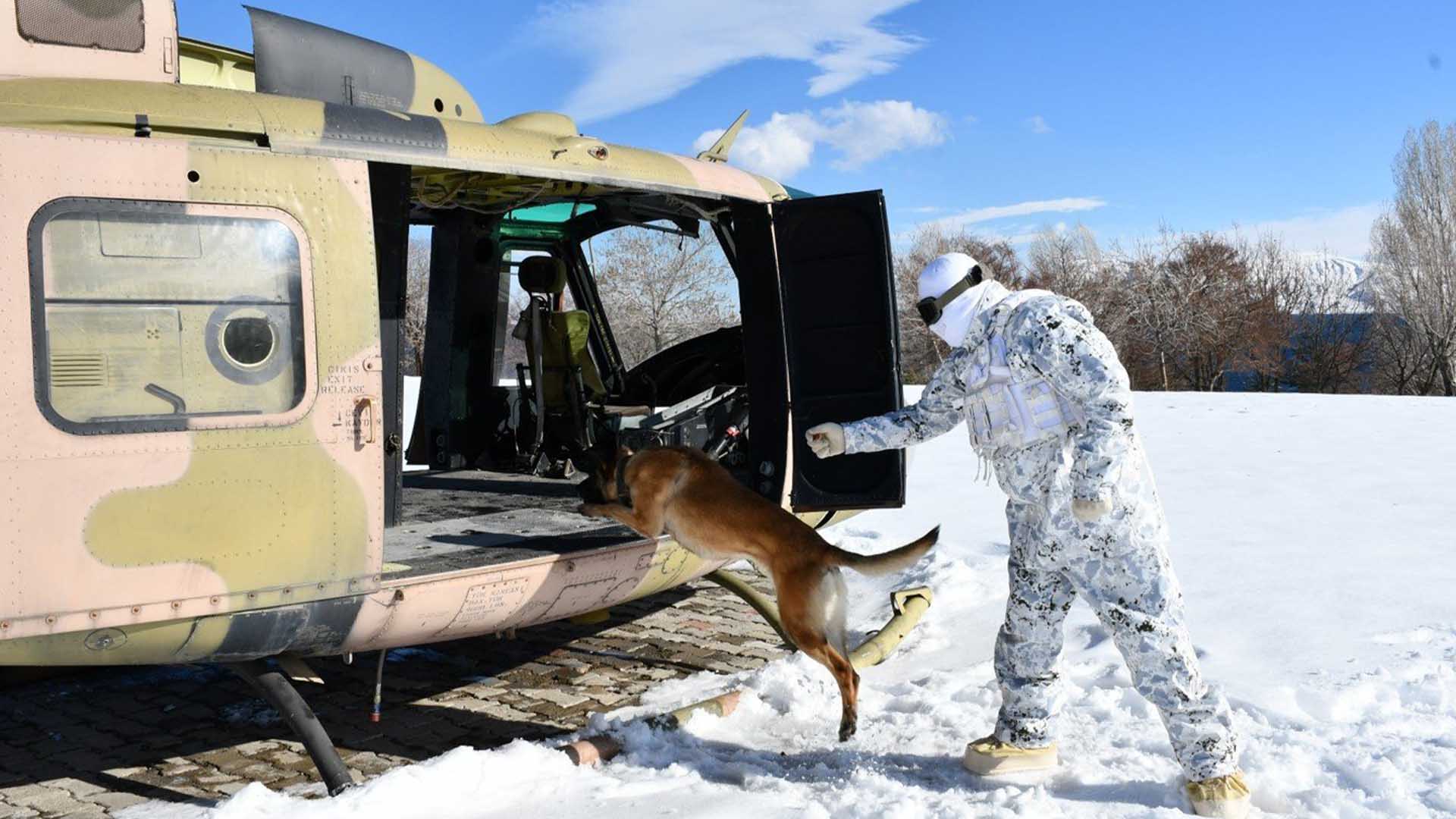Bitlis'te Askerî Köpekler Zorlu Kış Şartlarında Eğitildi 3