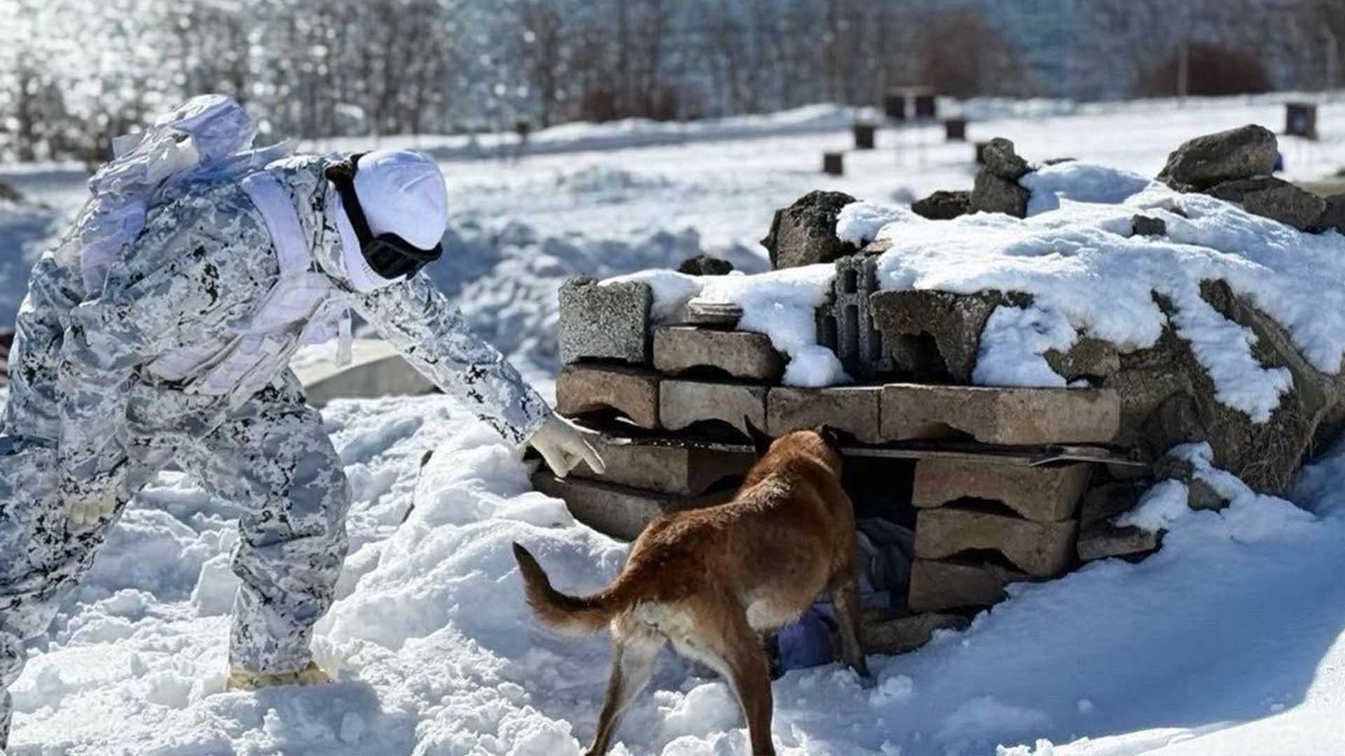 Bitlis'te Askerî Köpekler Zorlu Kış Şartlarında Eğitildi