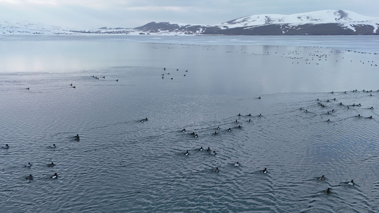 Haber Kapak Şablon 2026 02 26T095758.716