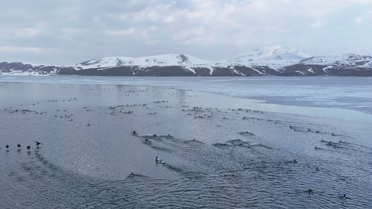 Haber Kapak Şablon 2026 02 26T095831.588