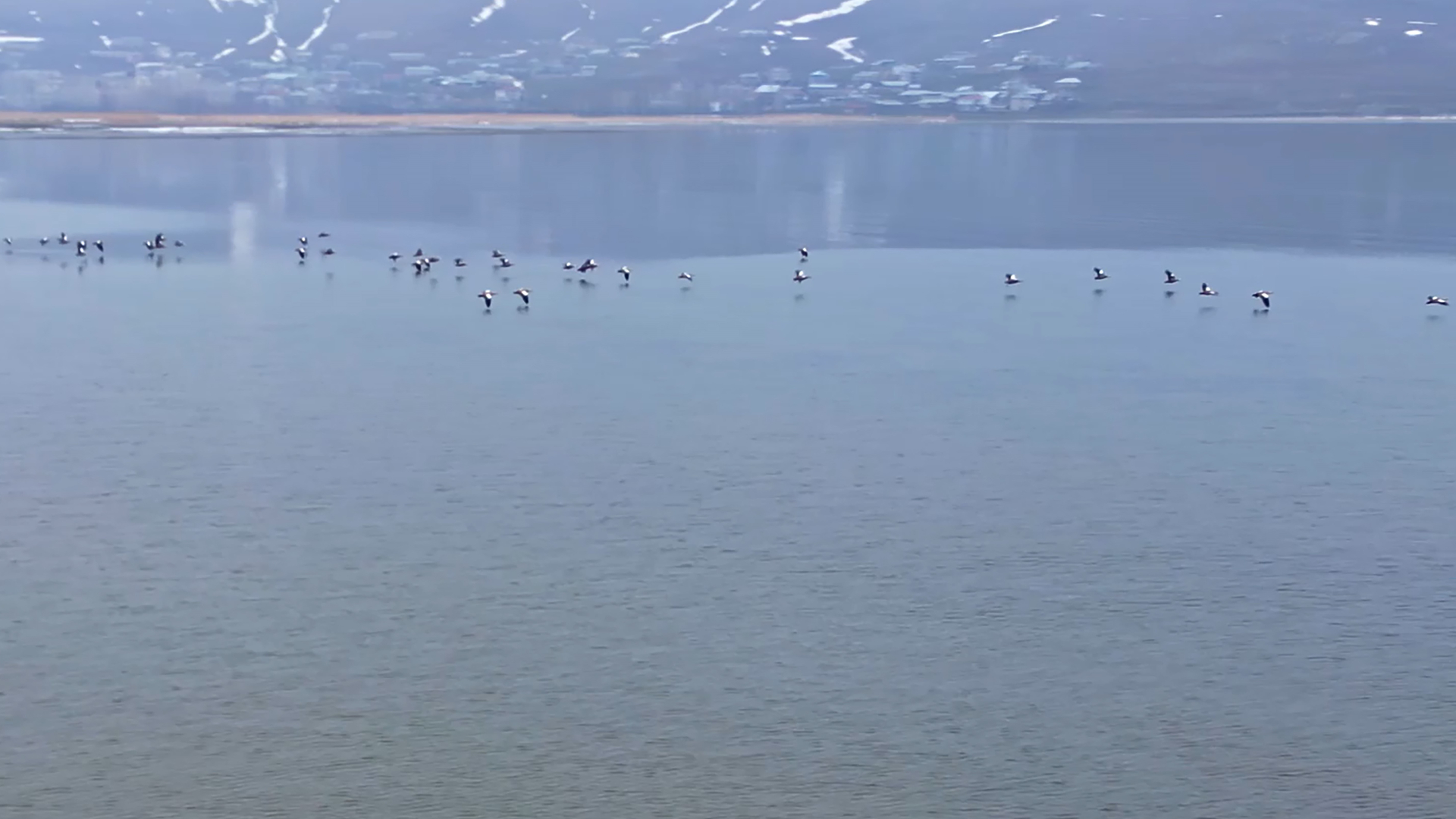 Haber Kapak Şablon (32)-39