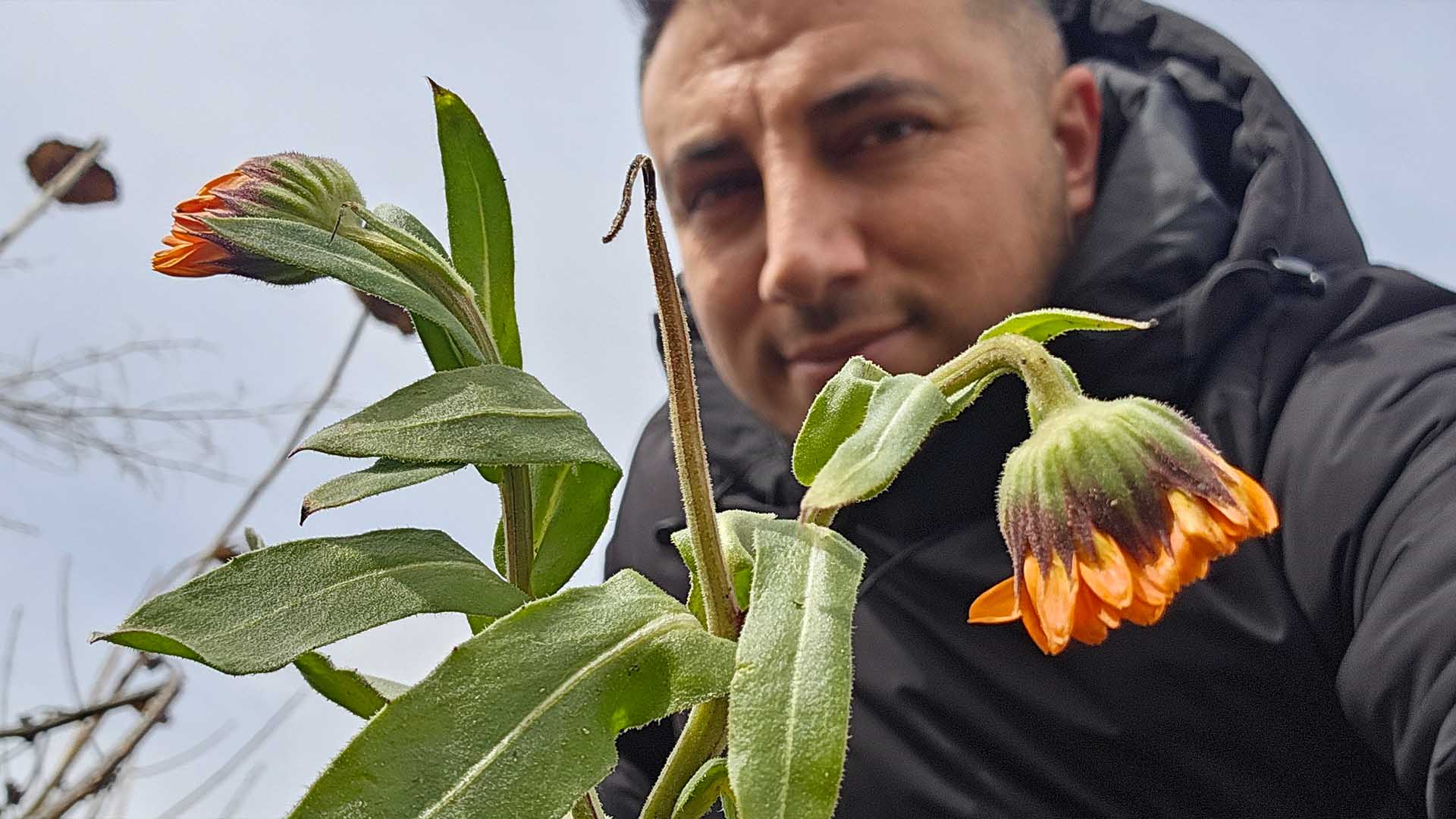 Karın Başkenti Bitlis’te Şubat Sürprizi, Çiçekler Karların Arasında Açtı 2