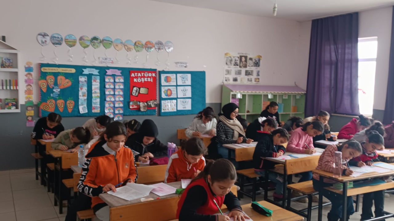 Whatsapp Image 2026 02 08 At 11.16.56 (1)