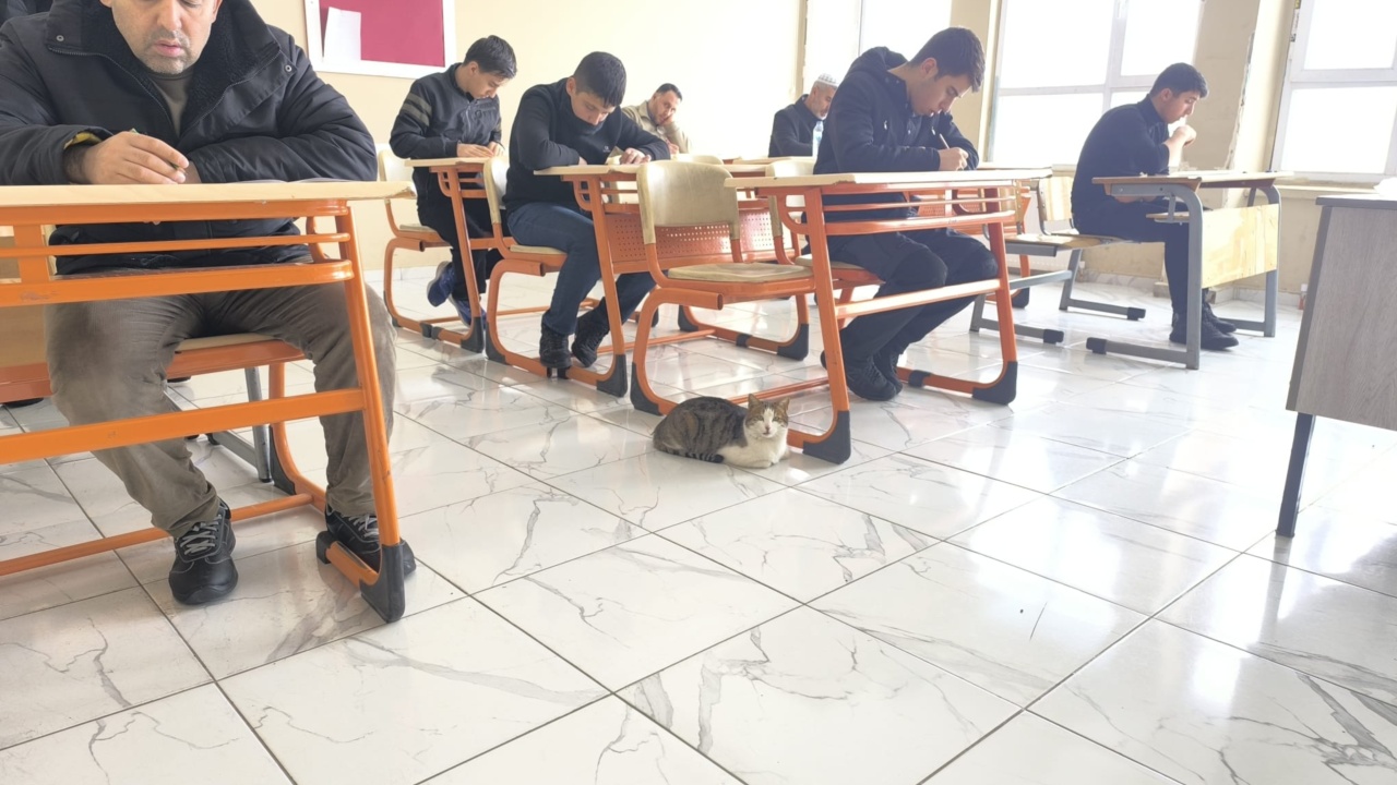 Whatsapp Image 2026 02 08 At 11.27.48