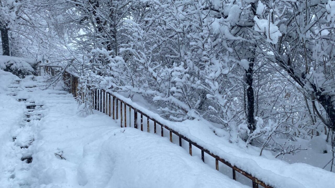 Whatsapp Image 2026 02 27 At 10.42.48