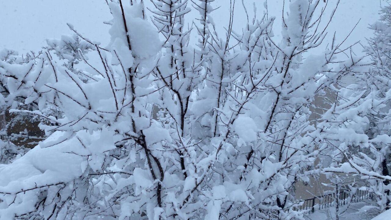 Whatsapp Image 2026 02 27 At 10.43.05 (1)