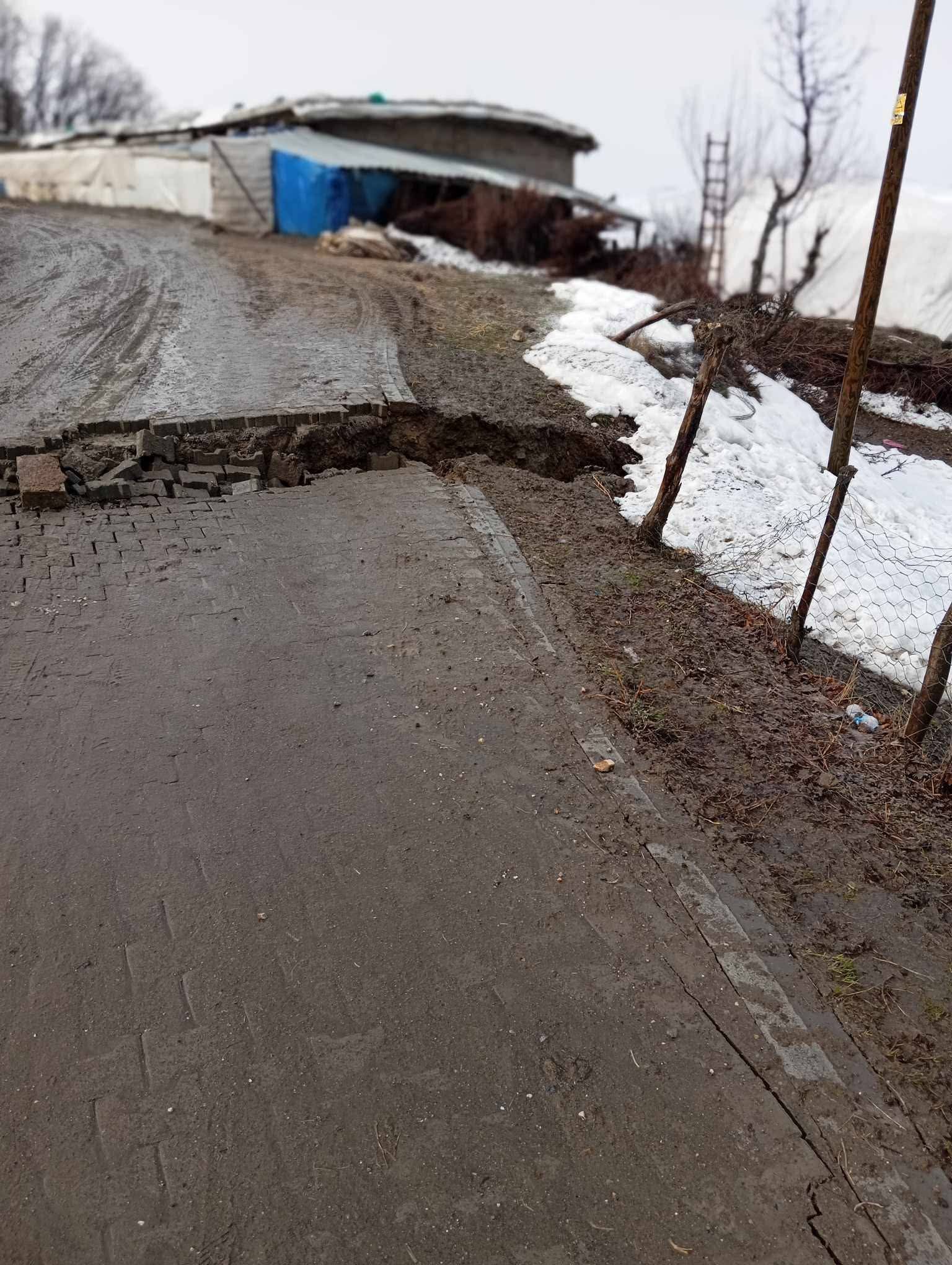 Ca556E0C Ae85 4464 B6D6 11C8E9A2Ddfe