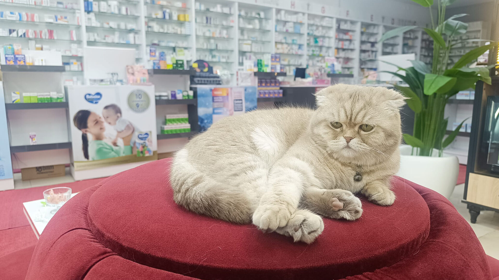 Haber Kapak Şablon 2026 03 29T112925.392