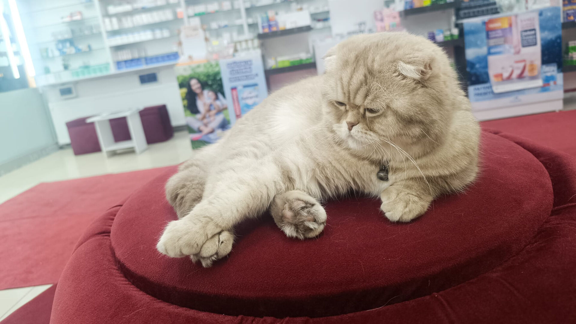 Haber Kapak Şablon 2026 03 29T112941.137