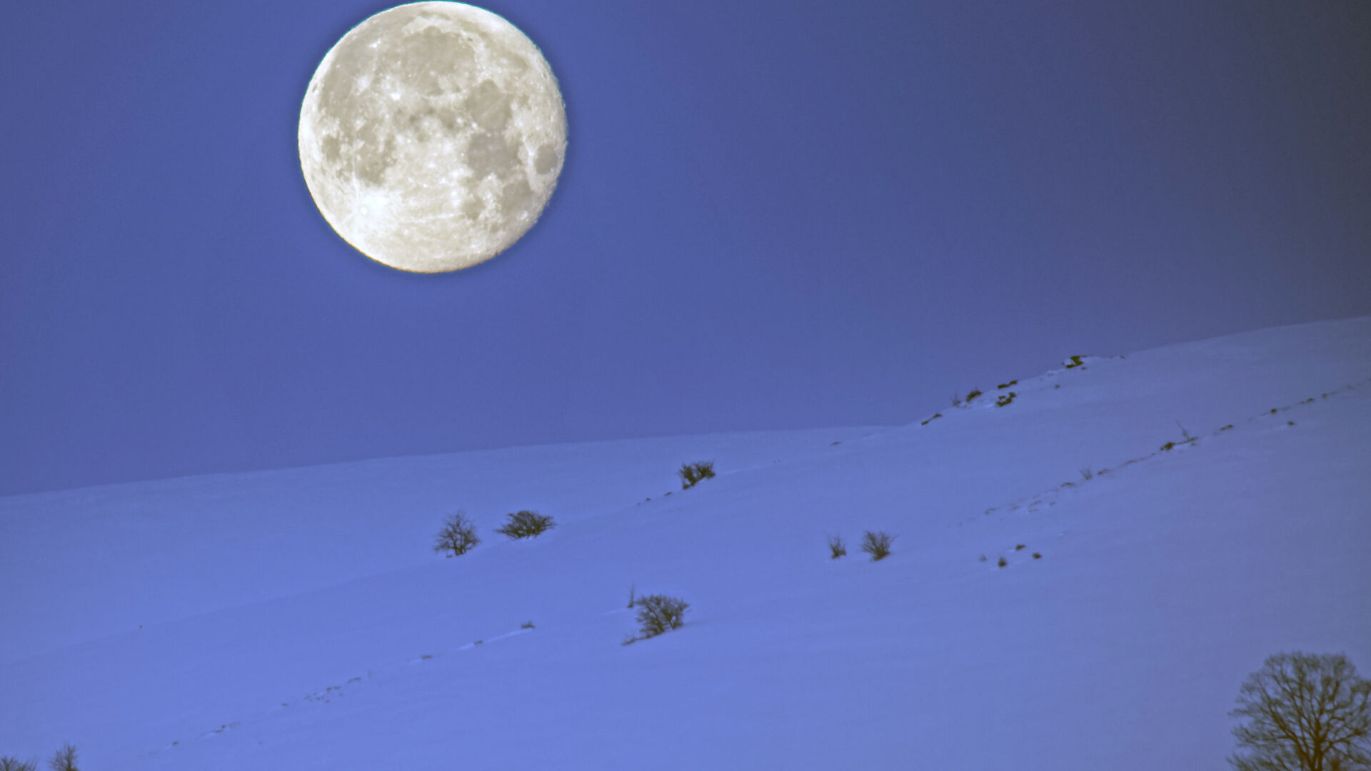 Haber Kapak Şablon (67)-19