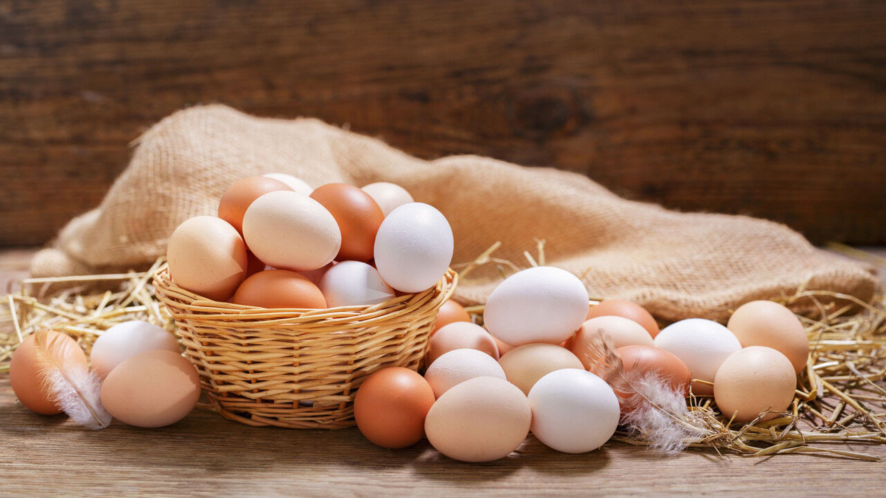 142 Ulkeden Cikan Yumurta Karari Sucsuz Hcmm