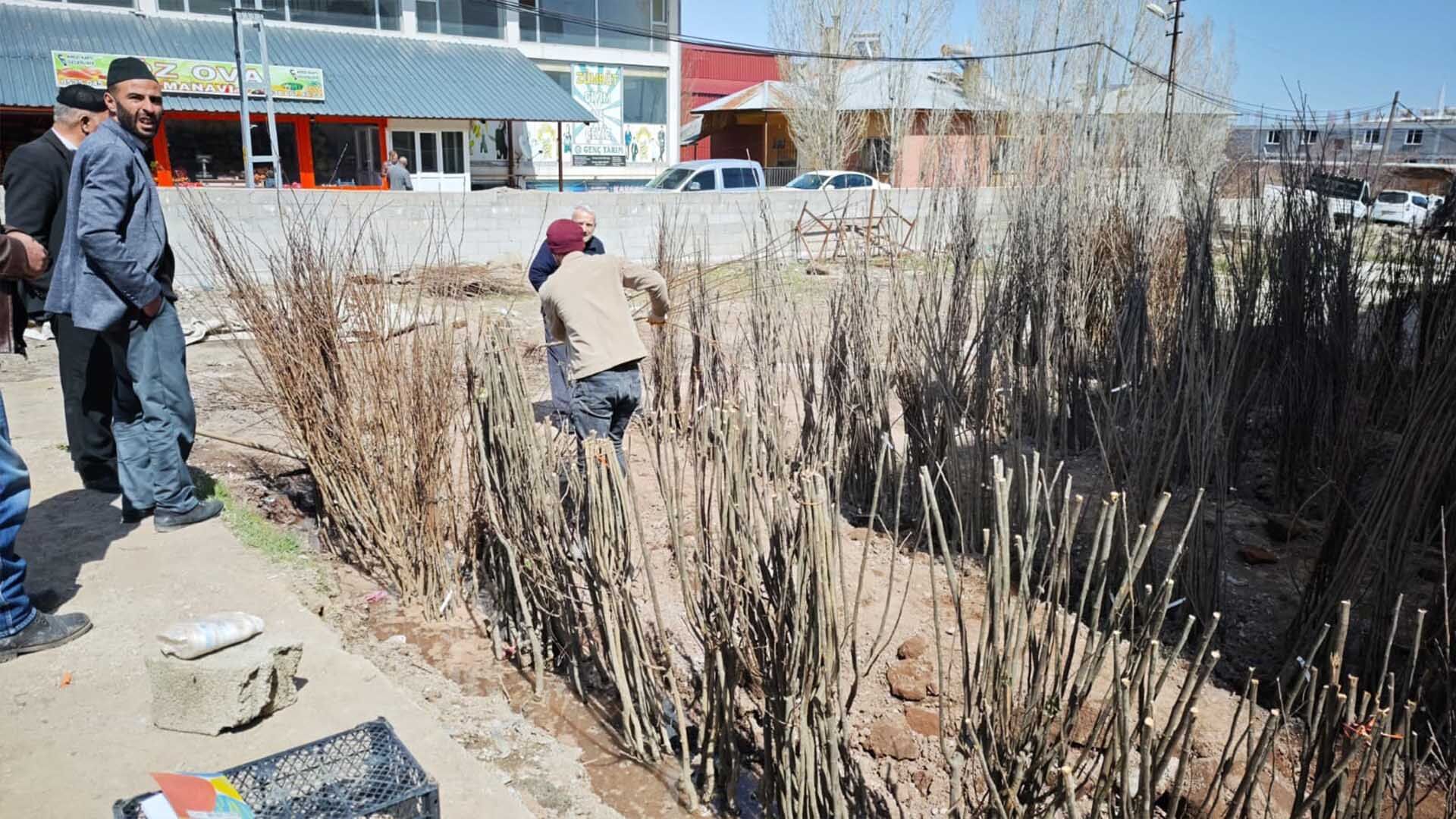 Ahlat’ta Bahar Hareketliliği, Meyve Fidanlarına Yoğun İlgi 2