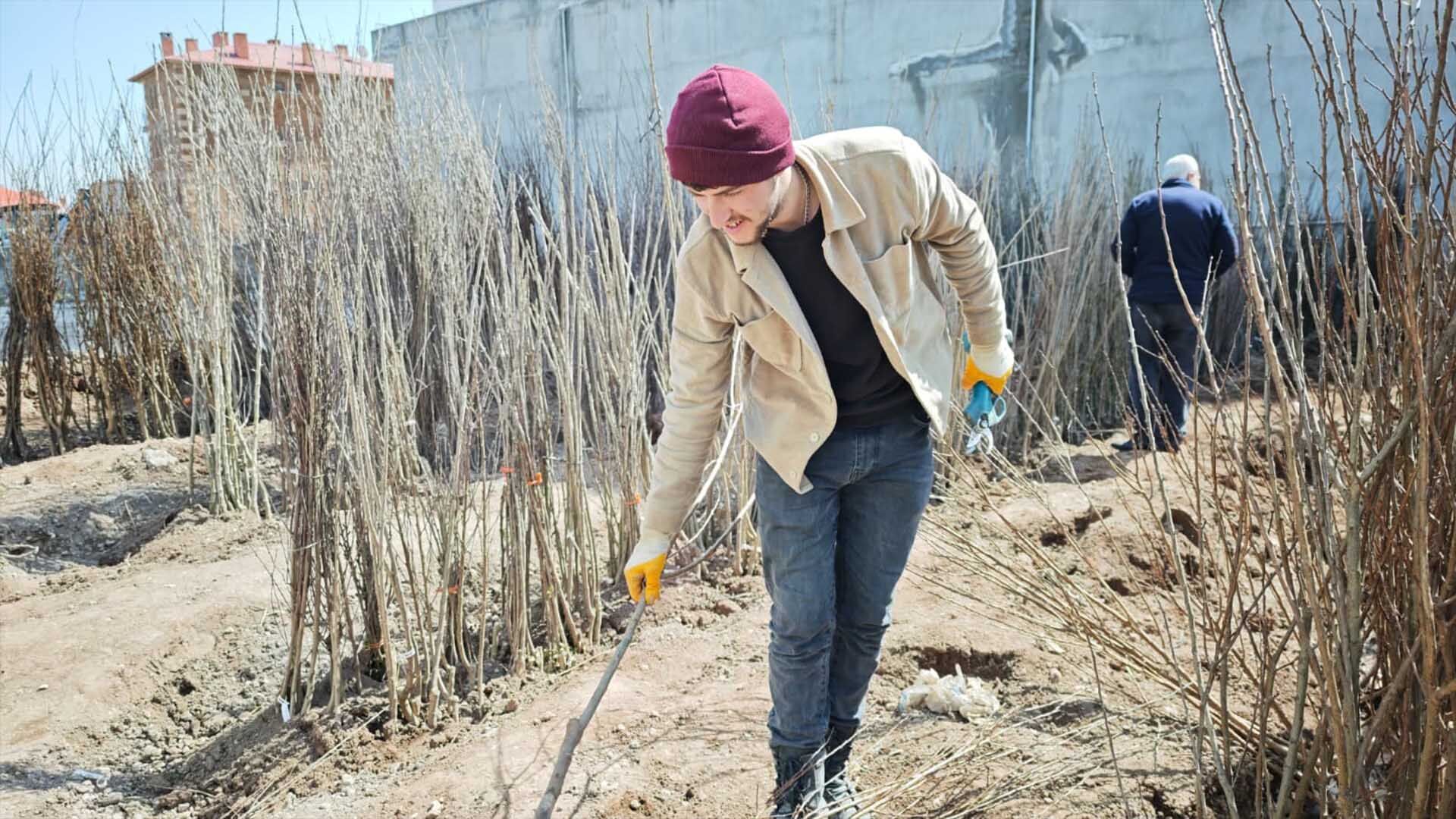 Ahlat’ta Bahar Hareketliliği, Meyve Fidanlarına Yoğun İlgi 3
