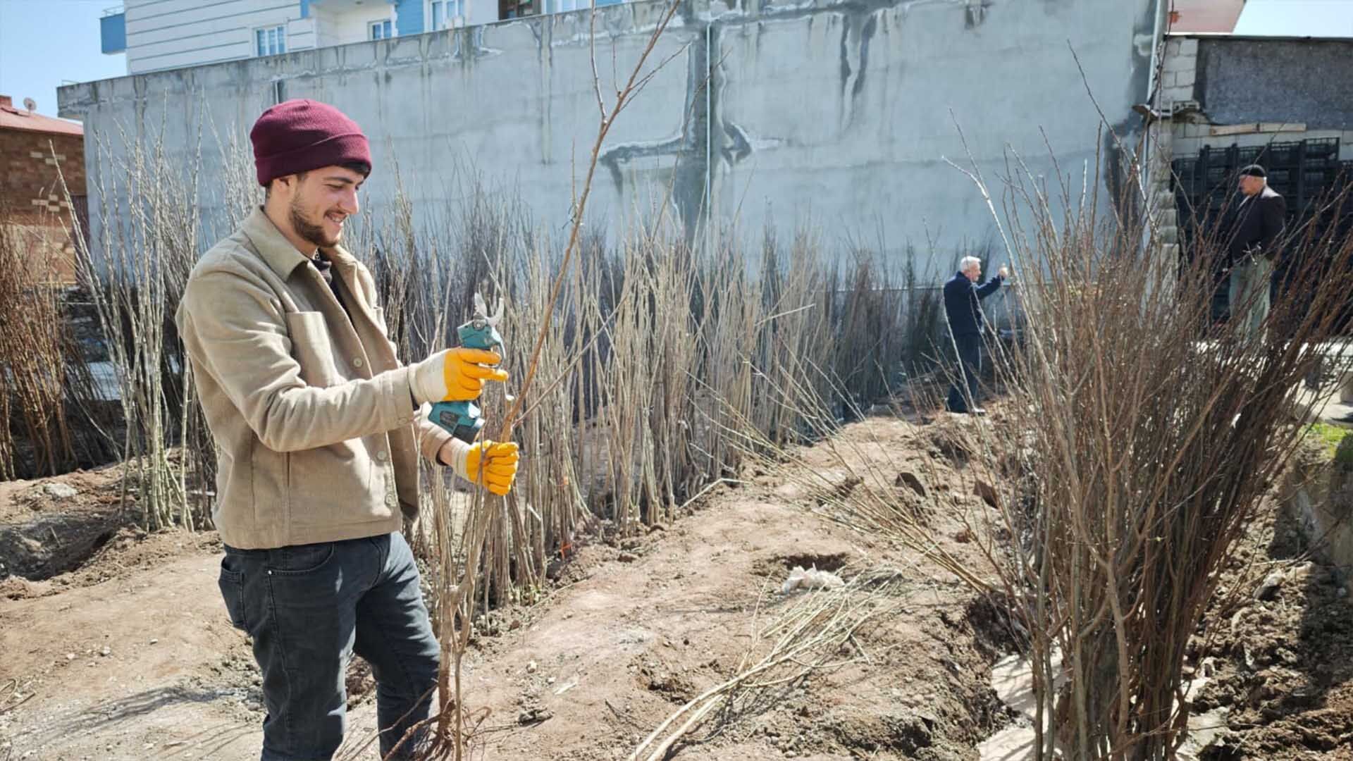 Ahlat’ta Bahar Hareketliliği, Meyve Fidanlarına Yoğun İlgi