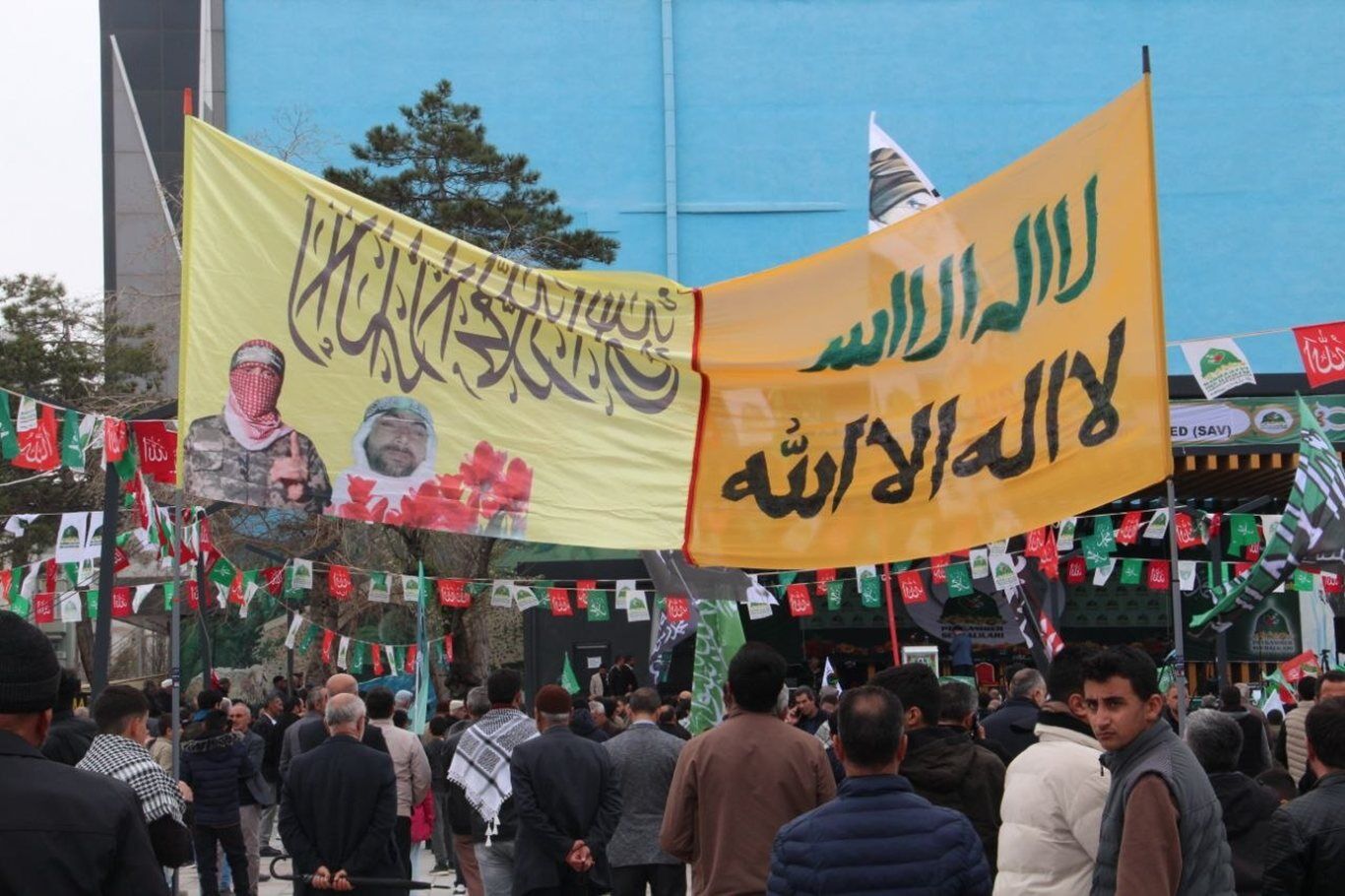 D382Bb54 0Eff 4Dd2 Bed6 E40Ecef6E2B0